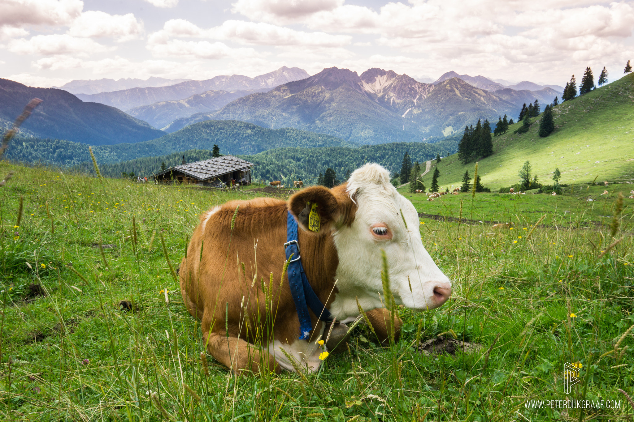 Sony a5100 + Sigma 19mm F2.8 EX DN sample photo. One photo every week #6 - hiking session in the german alps photography