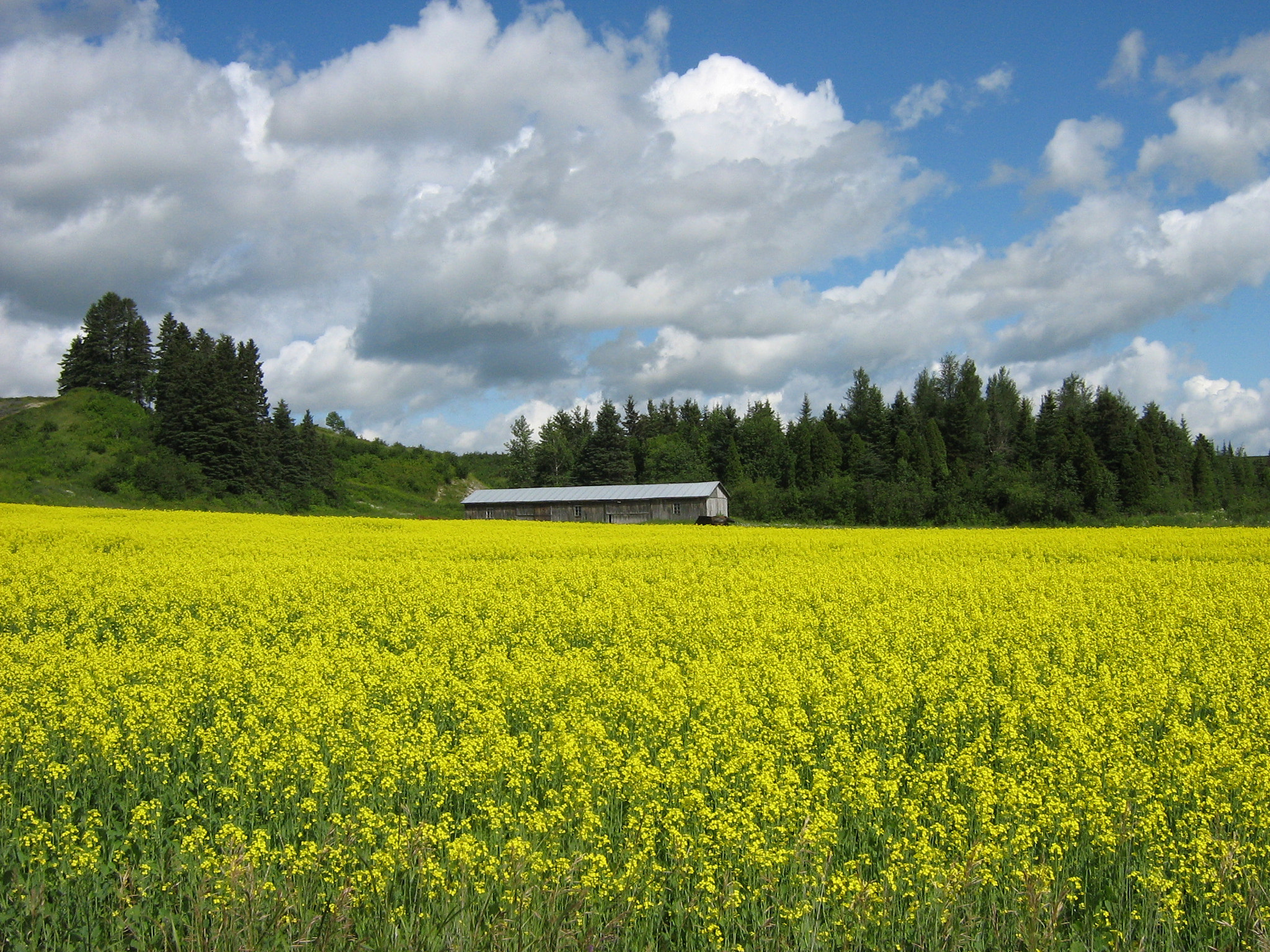 Canon POWERSHOT A430 sample photo. Canada on the road photography