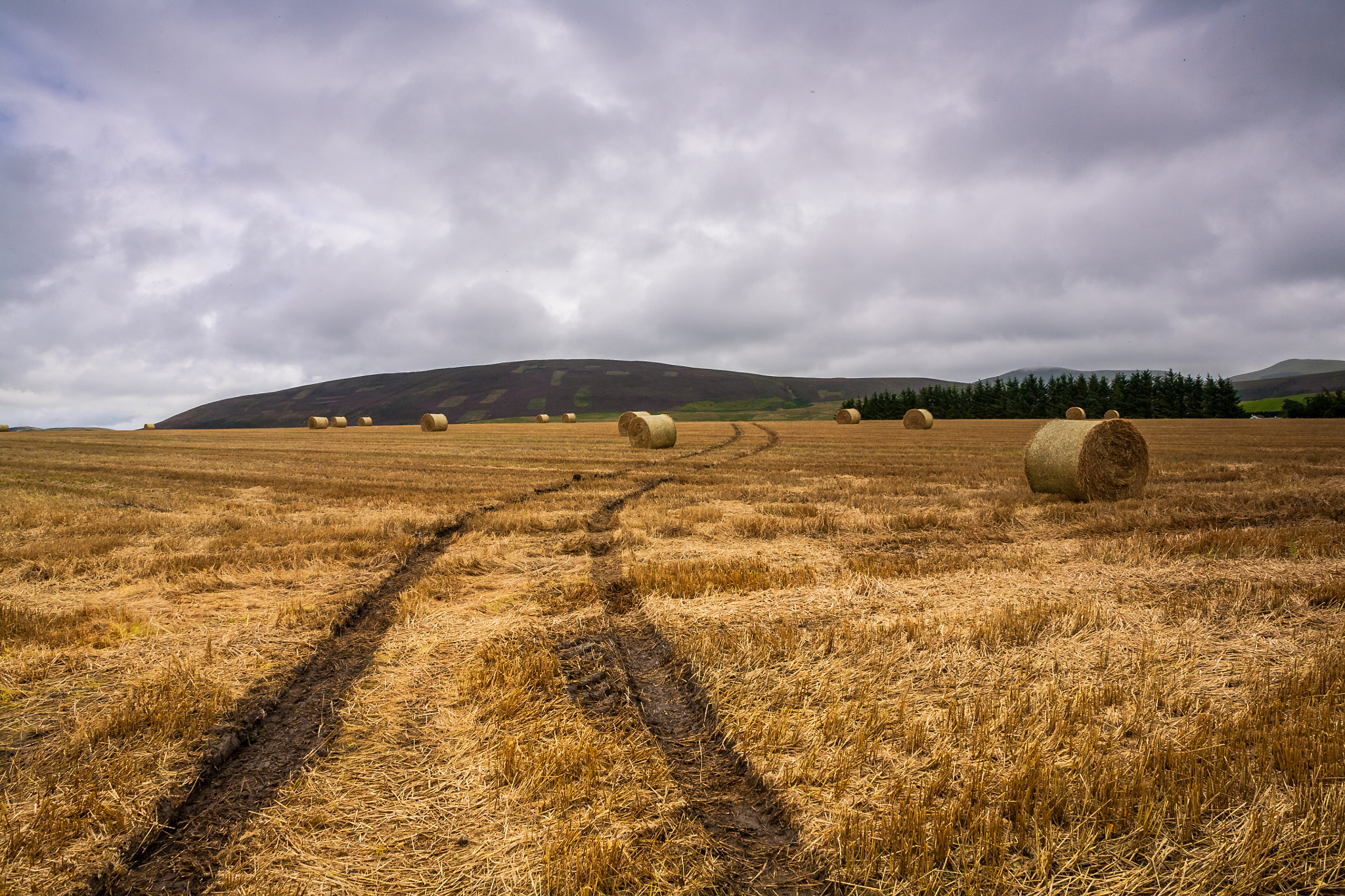 Canon EOS 5D sample photo. () photography