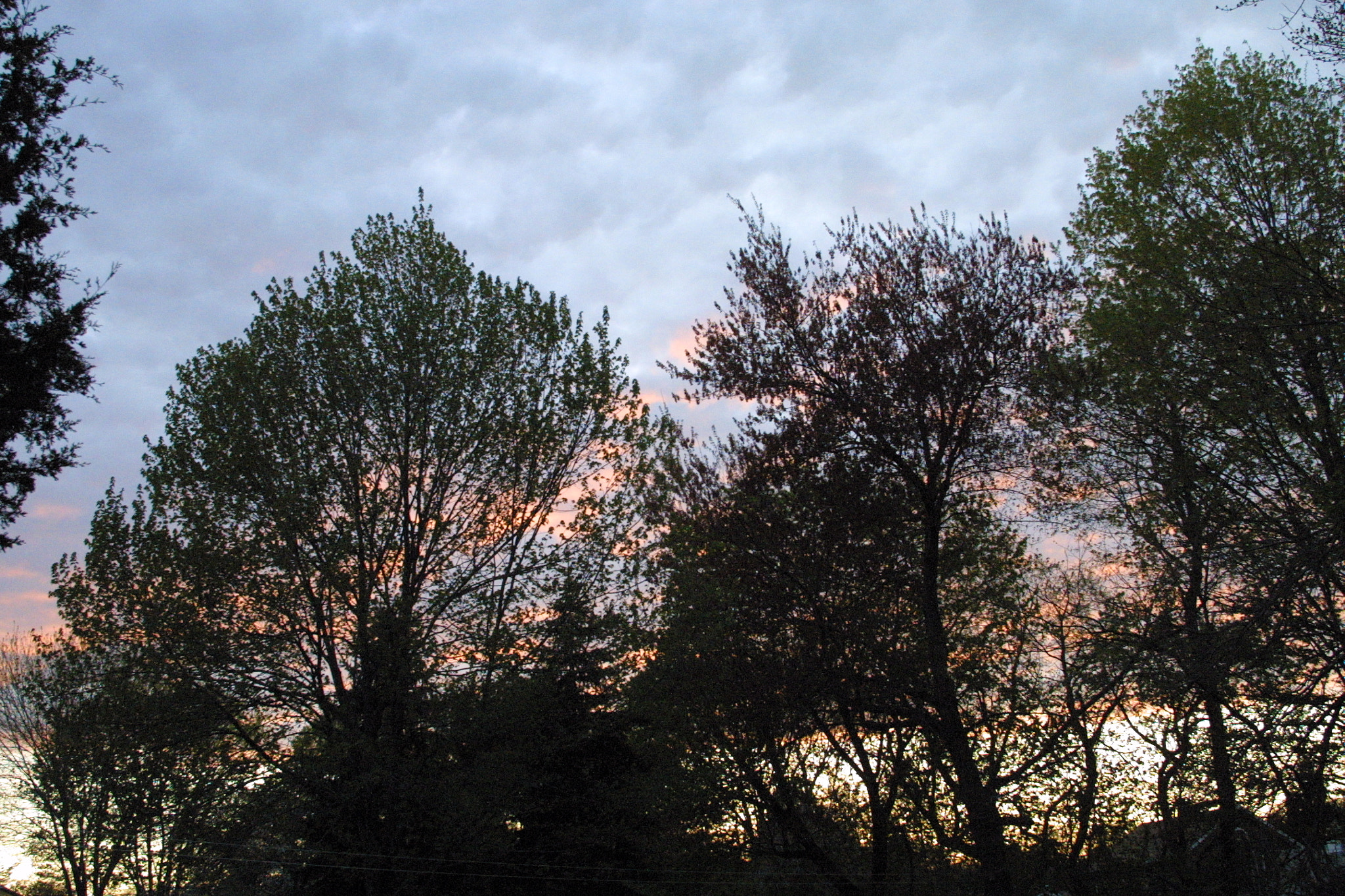 Canon EOS D30 sample photo. Spring sunset photography