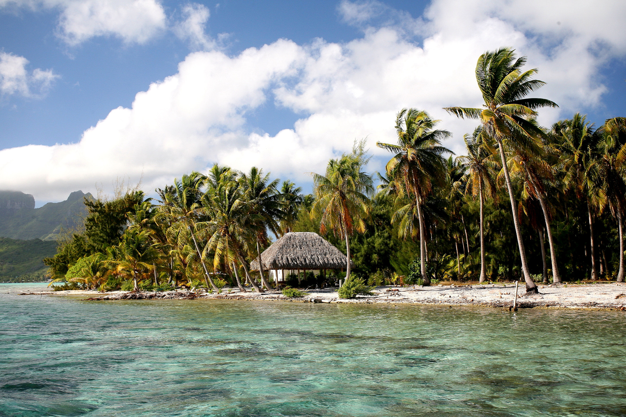 Canon EF28-80mm f/3.5-5.6 sample photo. Robinson crusoe photography
