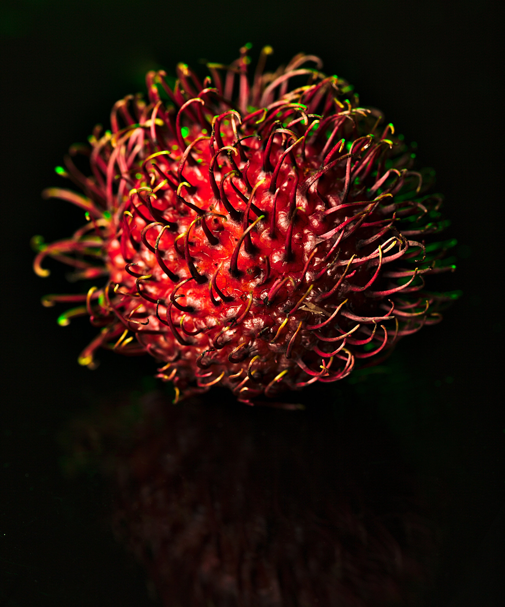 ZEISS Makro-Planar T* 100mm F2 sample photo. Rambutan photography