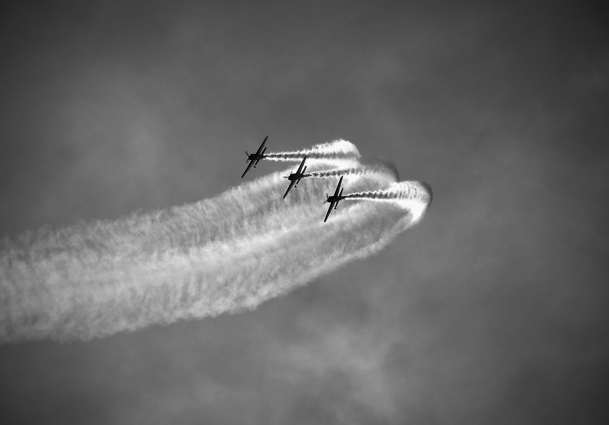 Tamron SP 70-200mm F2.8 Di VC USD sample photo. Flying bulls photography