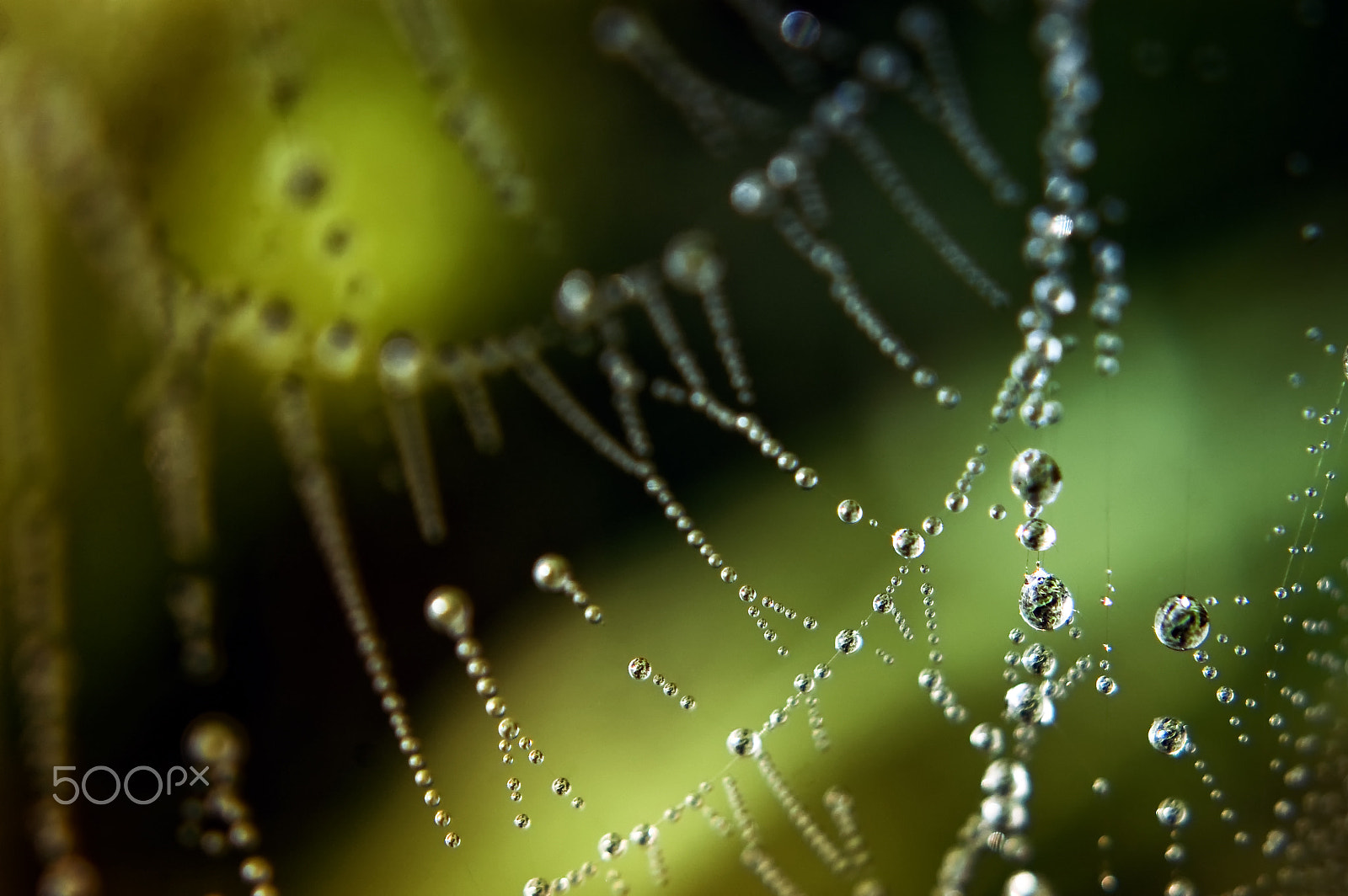 AF Zoom-Nikkor 75-300mm f/4.5-5.6 sample photo. La nature en perfusion photography