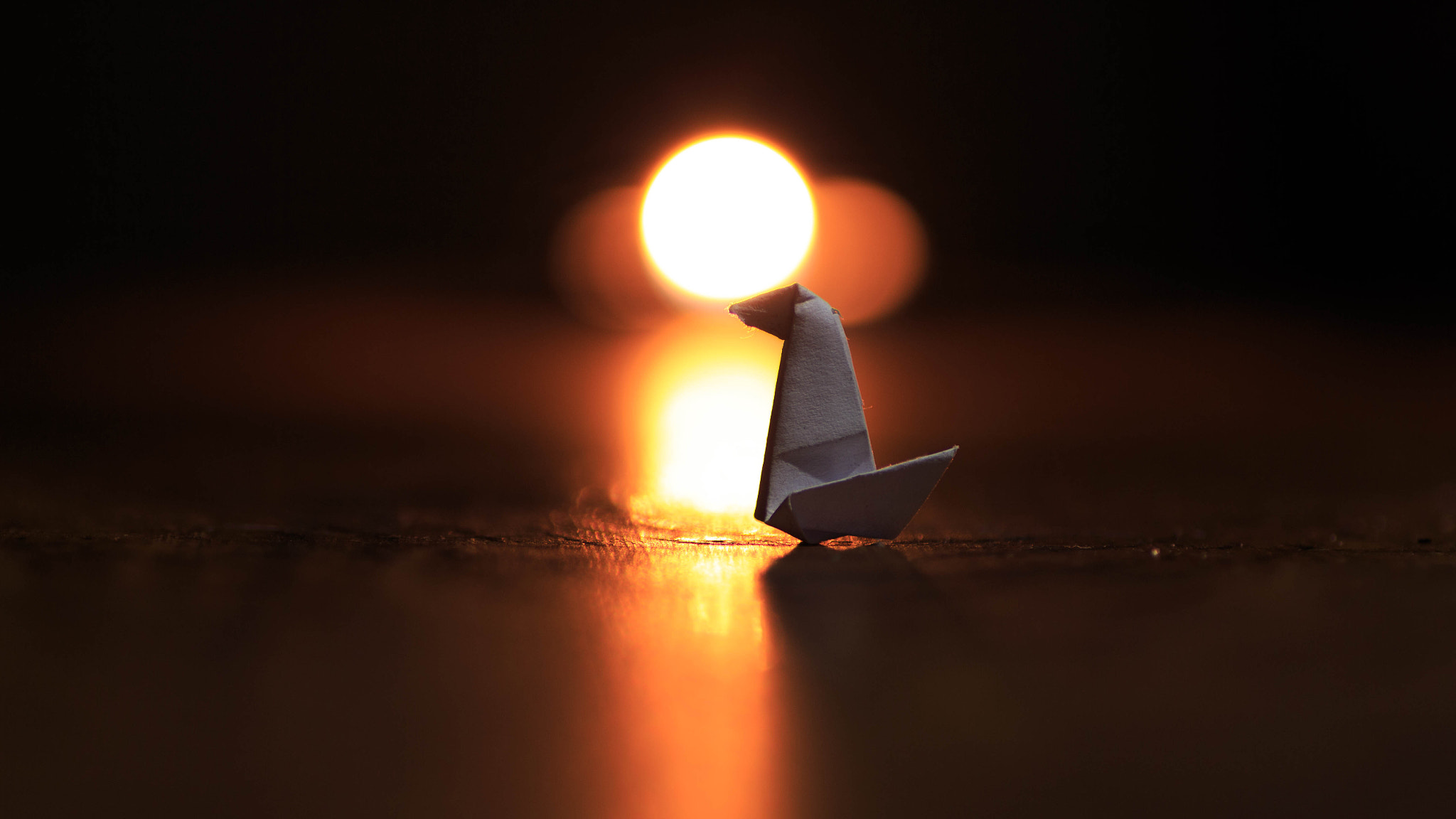 Canon EOS 700D (EOS Rebel T5i / EOS Kiss X7i) + Tamron SP AF 90mm F2.8 Di Macro sample photo. Origami photography