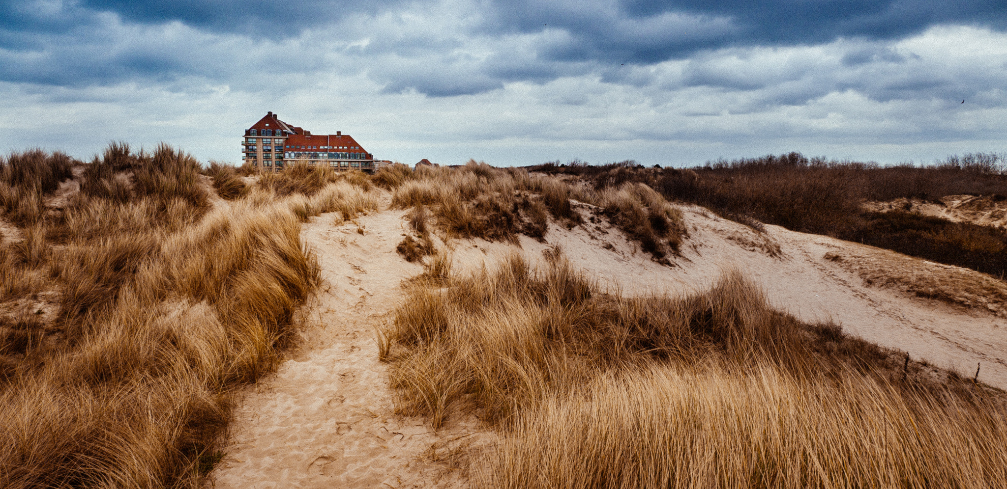 Panasonic Lumix DMC-GH1 sample photo. Footsteps in sand photography