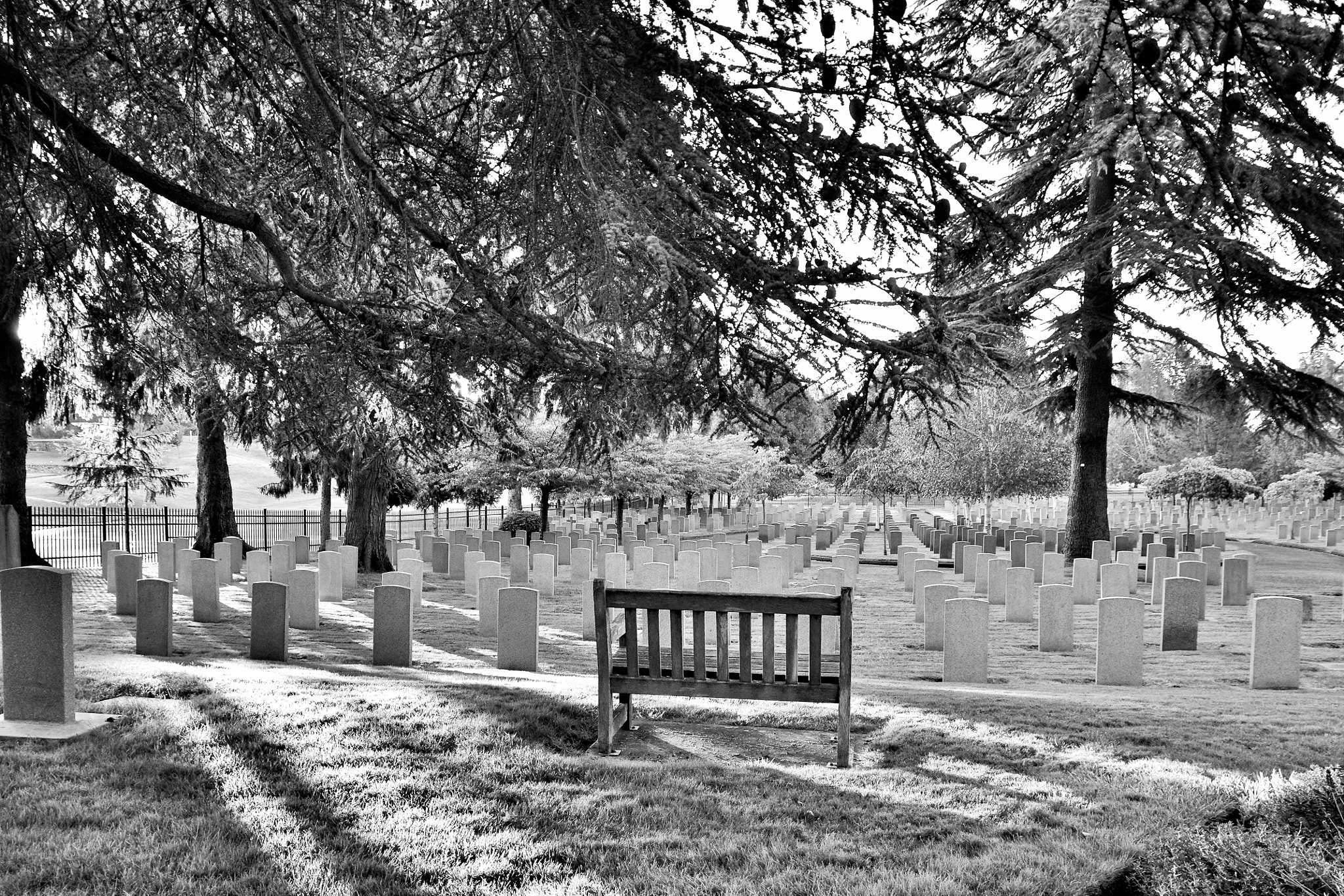 Nikon D3100 + Sigma 17-70mm F2.8-4 DC Macro OS HSM sample photo. Resting place of our local war veterans photography