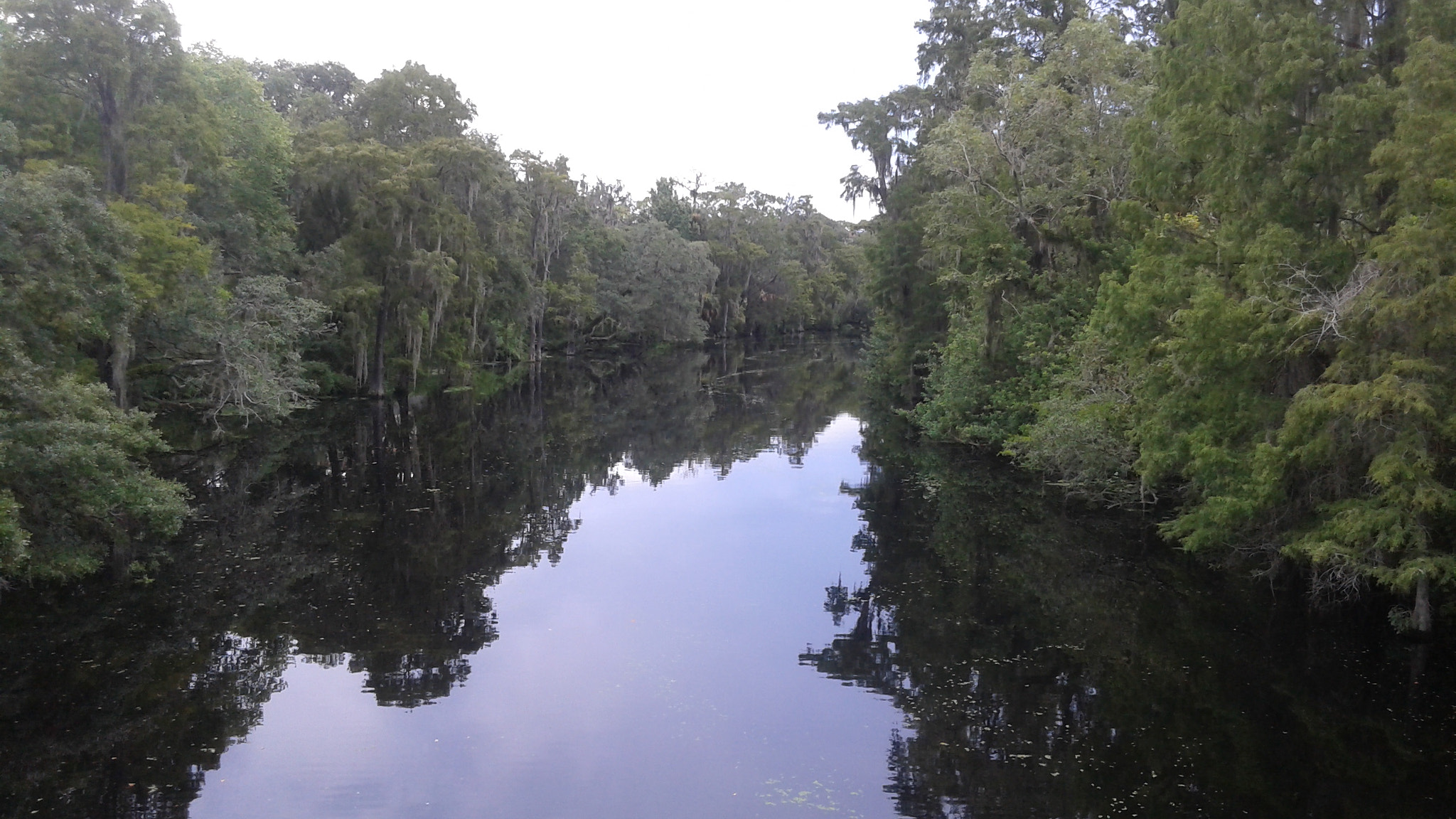 Samsung Galaxy Avant sample photo. Hillsborough river  photography