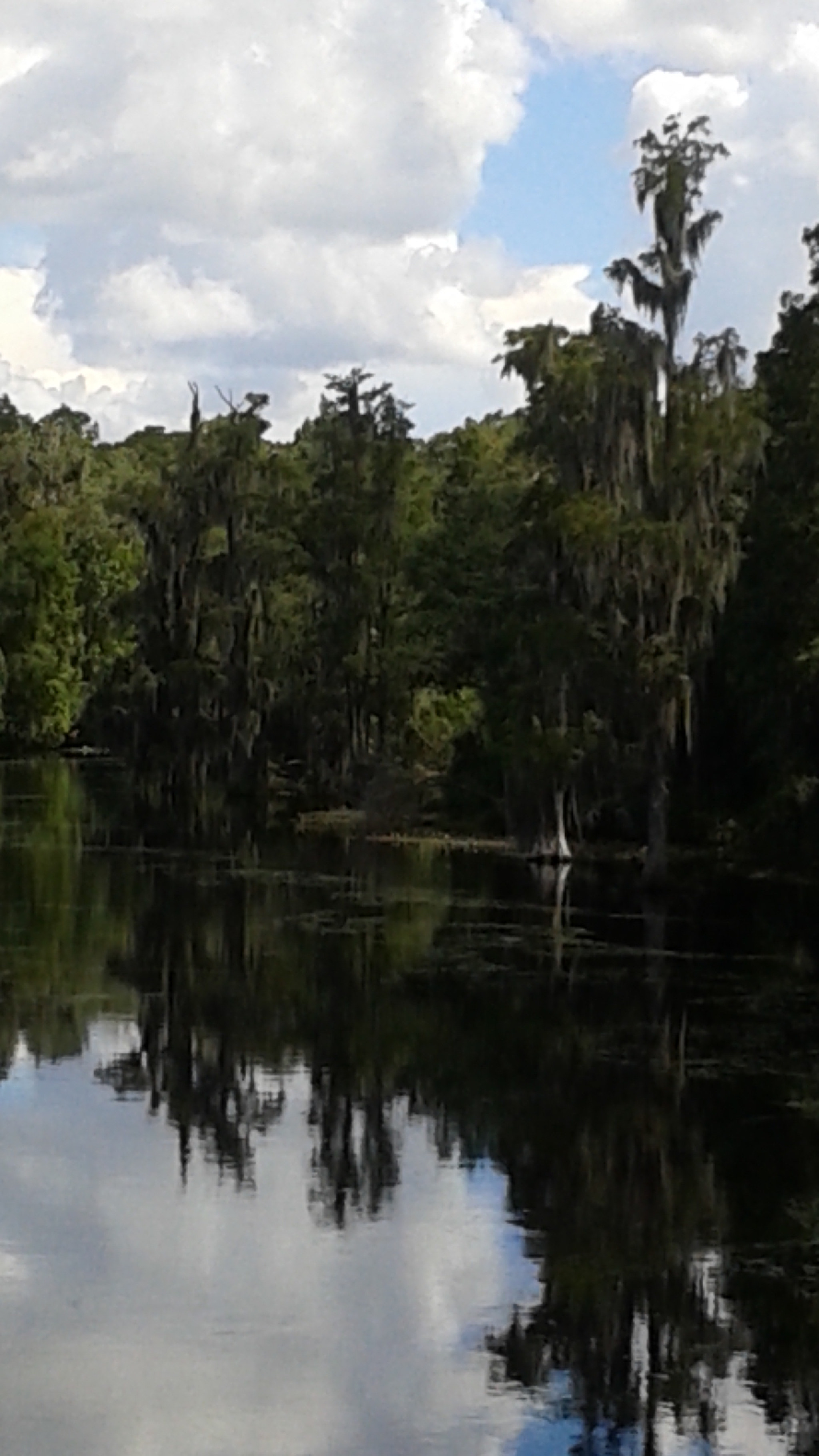 Samsung Galaxy Avant sample photo. Hillsborough river  photography