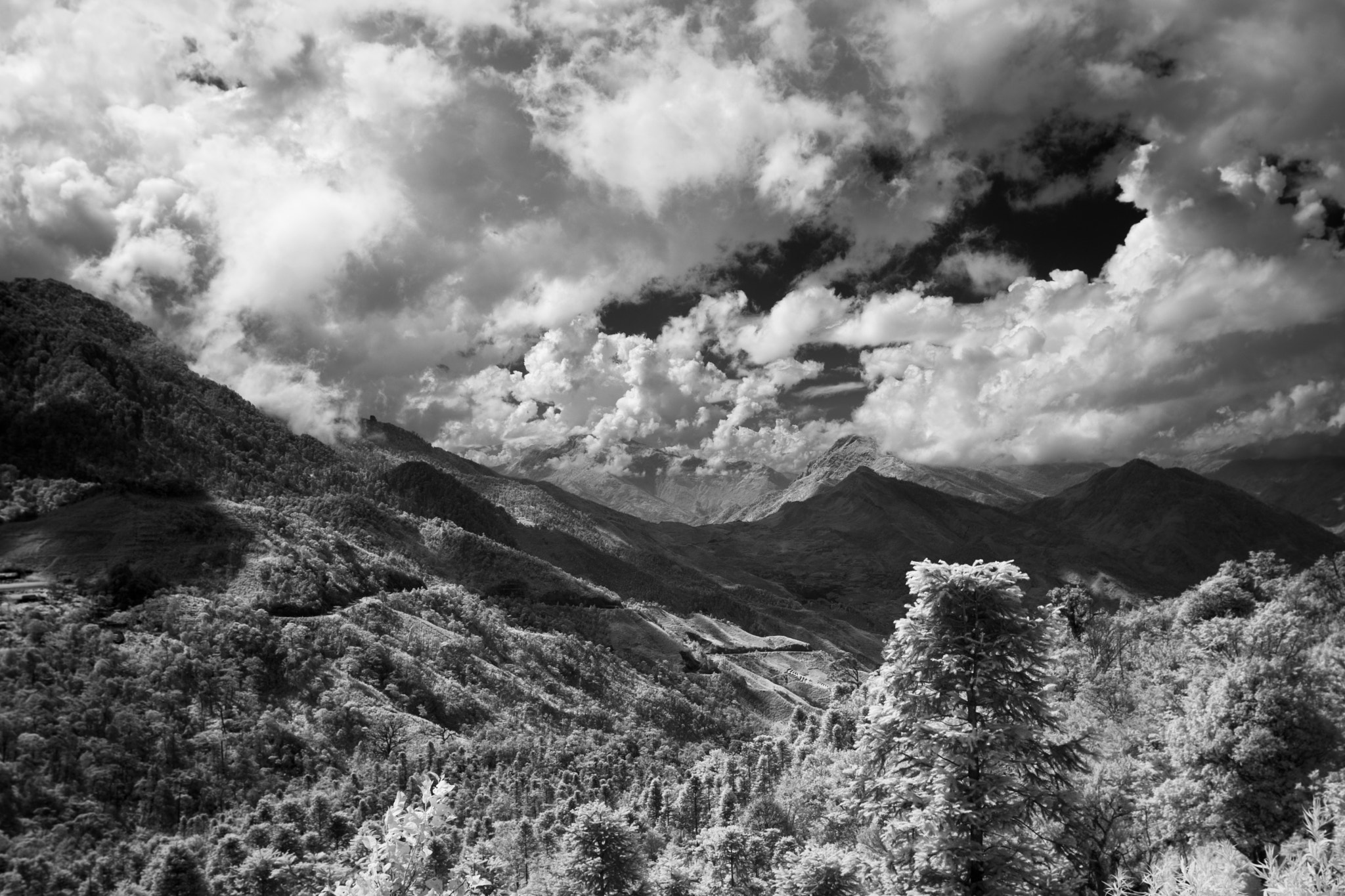 Nikon D5200 + Nikon AF-S Nikkor 20mm F1.8G ED sample photo. Vietnam ir photography