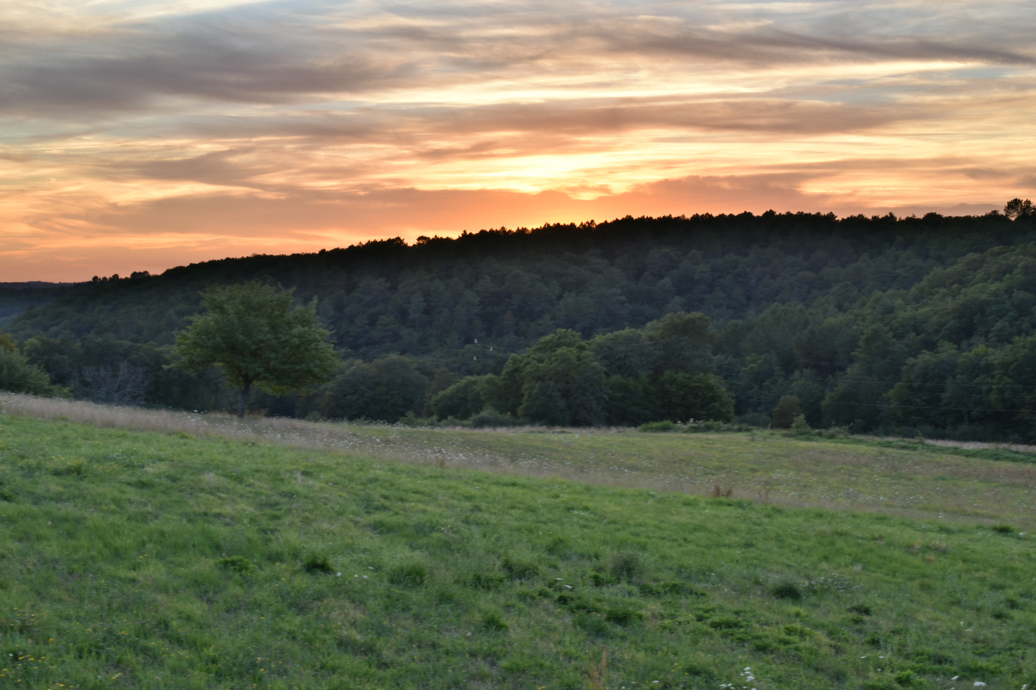 Nikon AF-S DX Micro Nikkor 40mm F2.8 sample photo. Sunset near montignac, dordogne, france photography