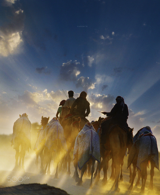 Canon EOS 7D + Canon EF 100-400mm F4.5-5.6L IS USM sample photo. Camel riders in sun setfcb photography
