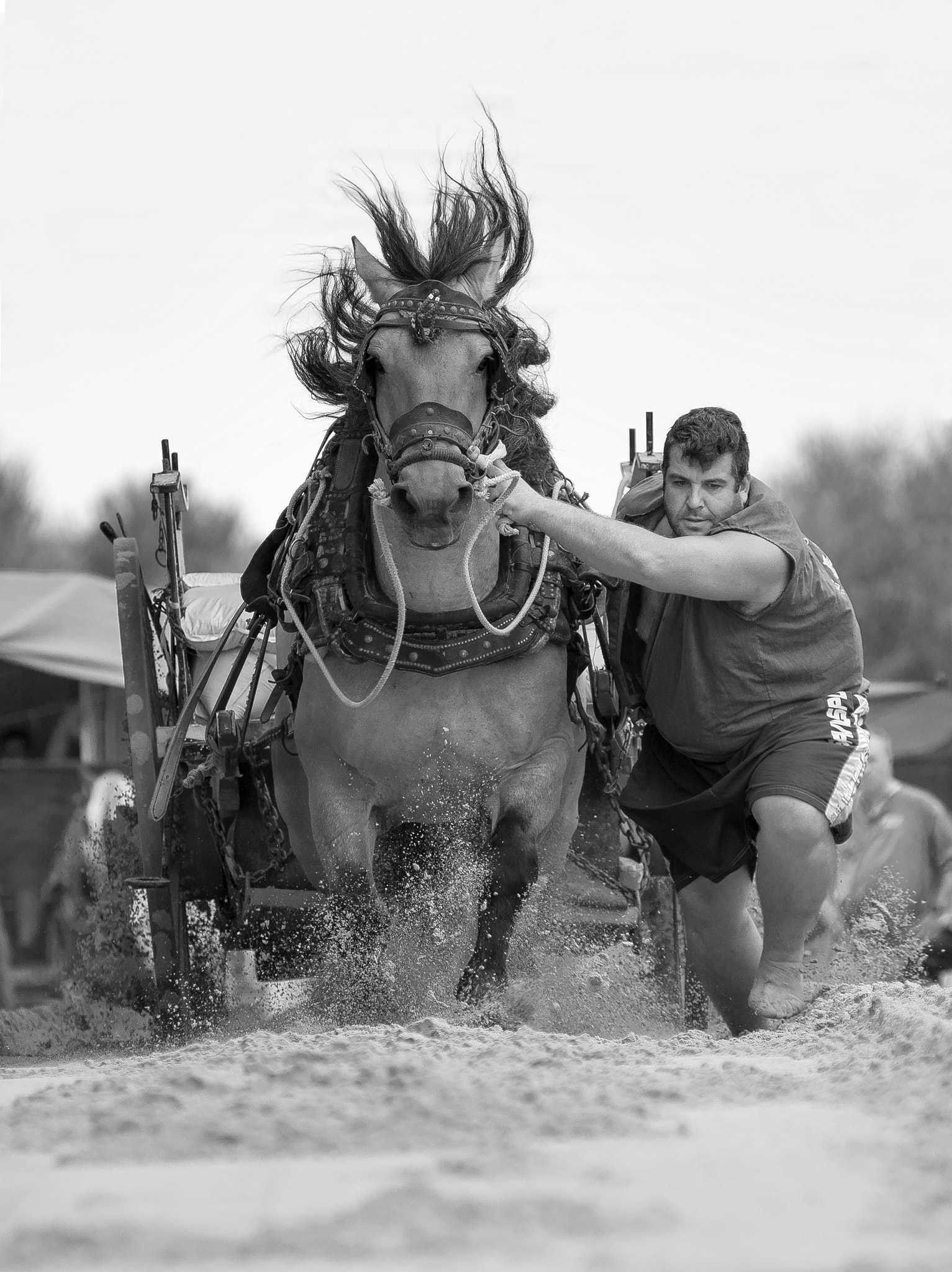 AF Zoom-Nikkor 80-200mm f/2.8 ED sample photo. Tiro y arrastre photography