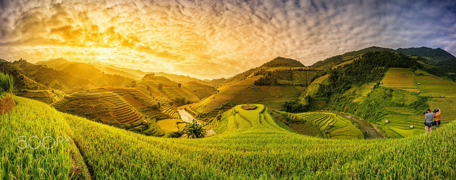 Nikon AF-S Nikkor 17-35mm F2.8D ED-IF sample photo. Green rice fields on terraced photography