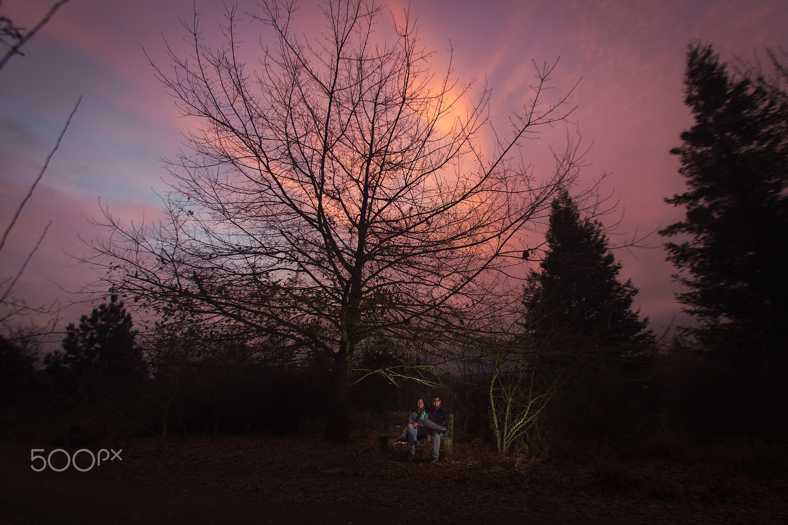 Canon EOS 6D + Canon EF 17-35mm f/2.8L sample photo. Love photography