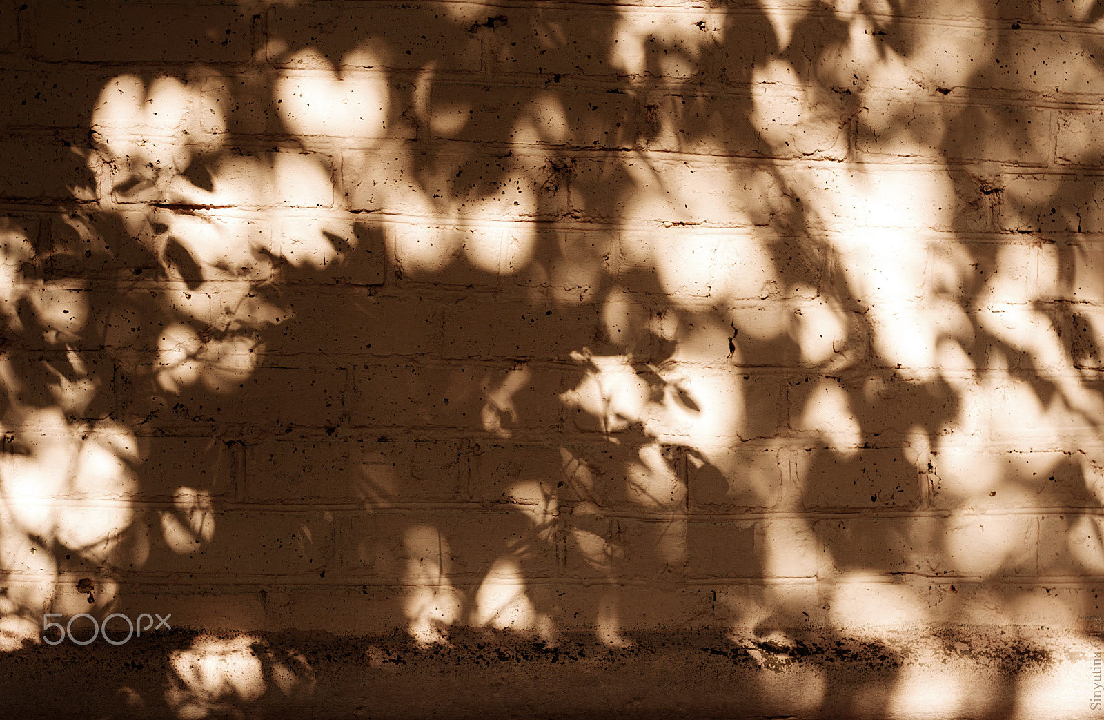 Pentax K-5 IIs + A Series Lens sample photo. Shedows photography