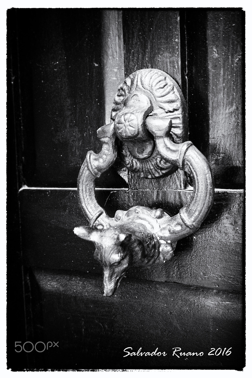 Nikon D800E sample photo. Old door photography