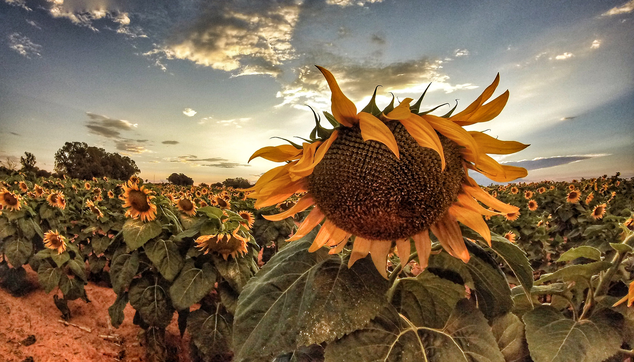 GoPro HERO sample photo