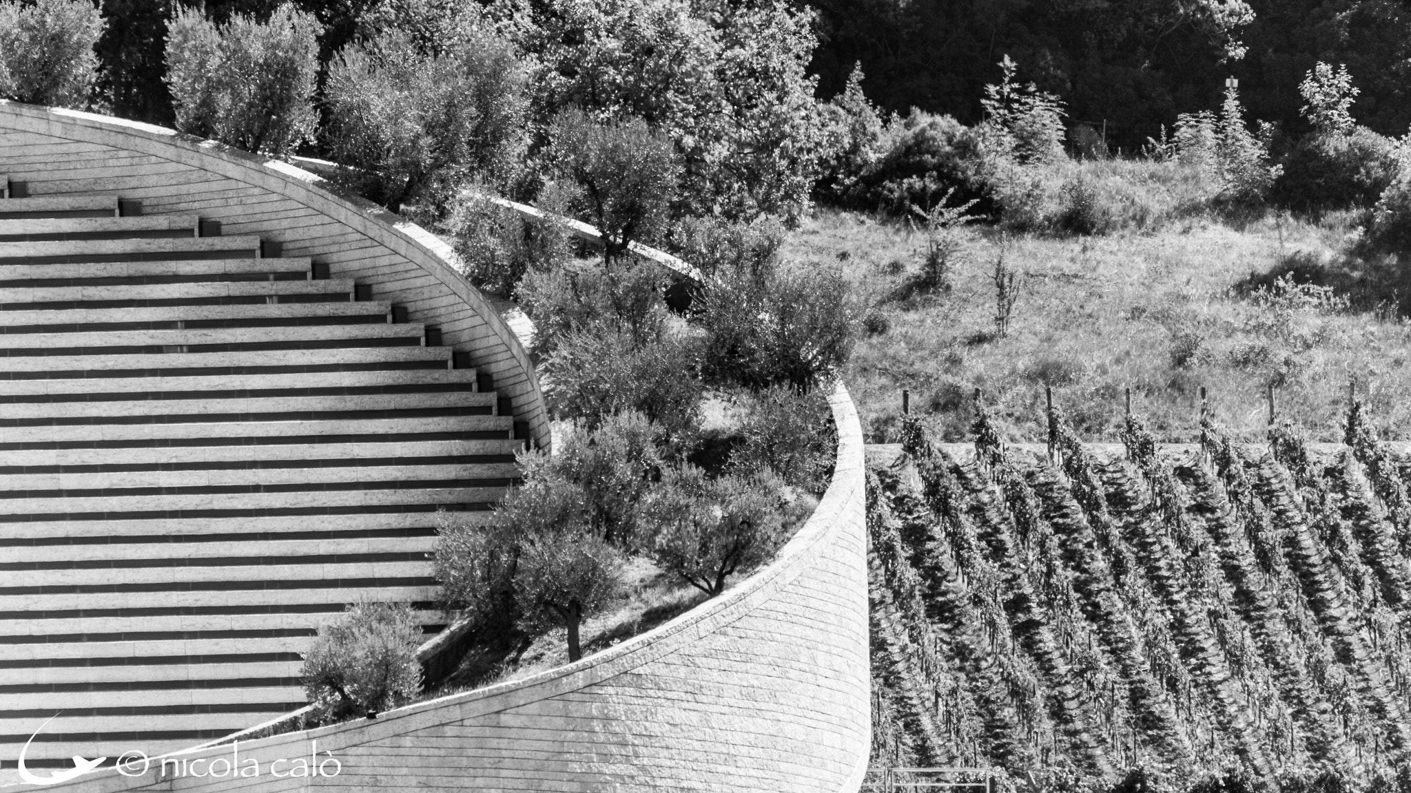 Sigma 150-600mm F5-6.3 DG OS HSM | C sample photo. Petra winery  - suvereto (italy) photography