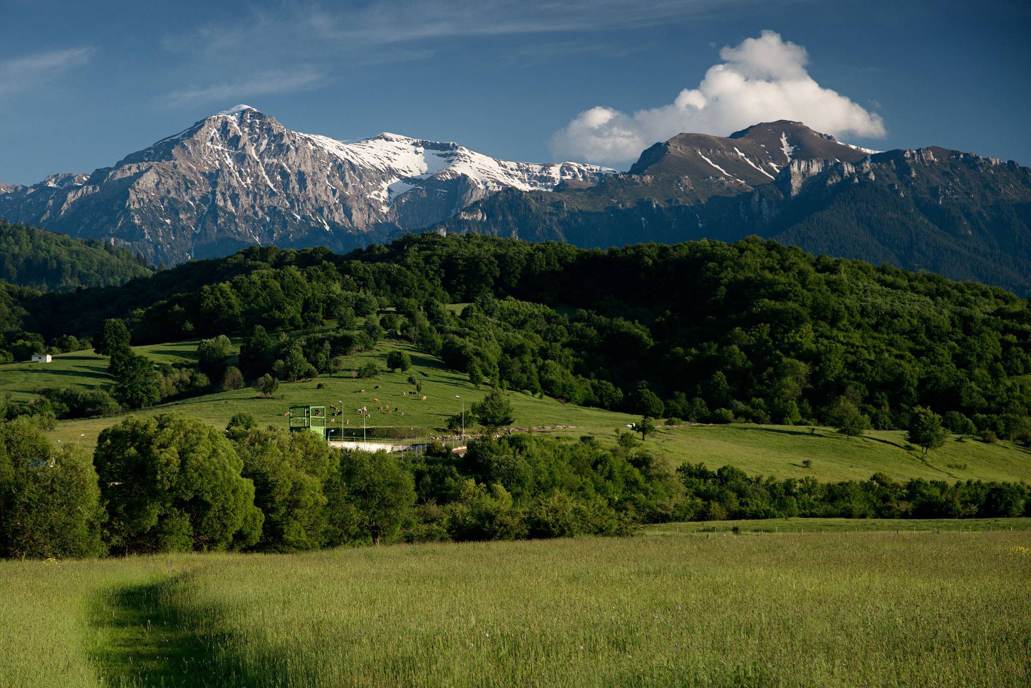 Sigma 17-70mm F2.8-4 DC Macro OS HSM | C sample photo. Romania_alps photography