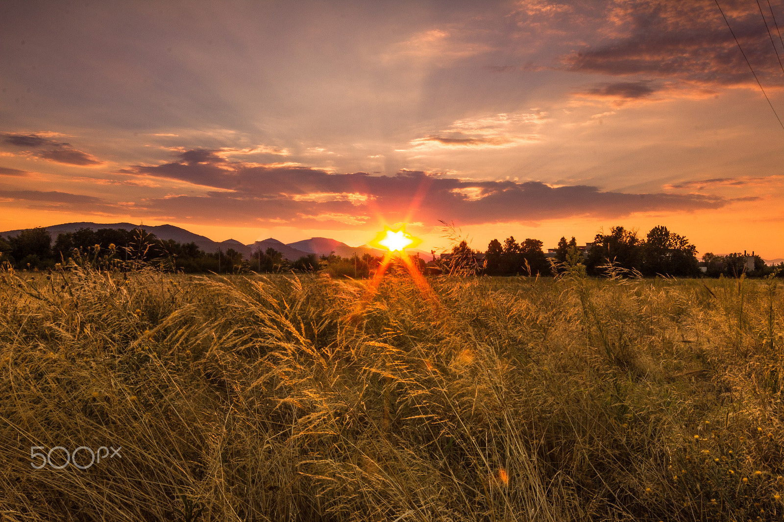Sigma 10-20mm F4-5.6 EX DC HSM sample photo. Sunset at the field photography