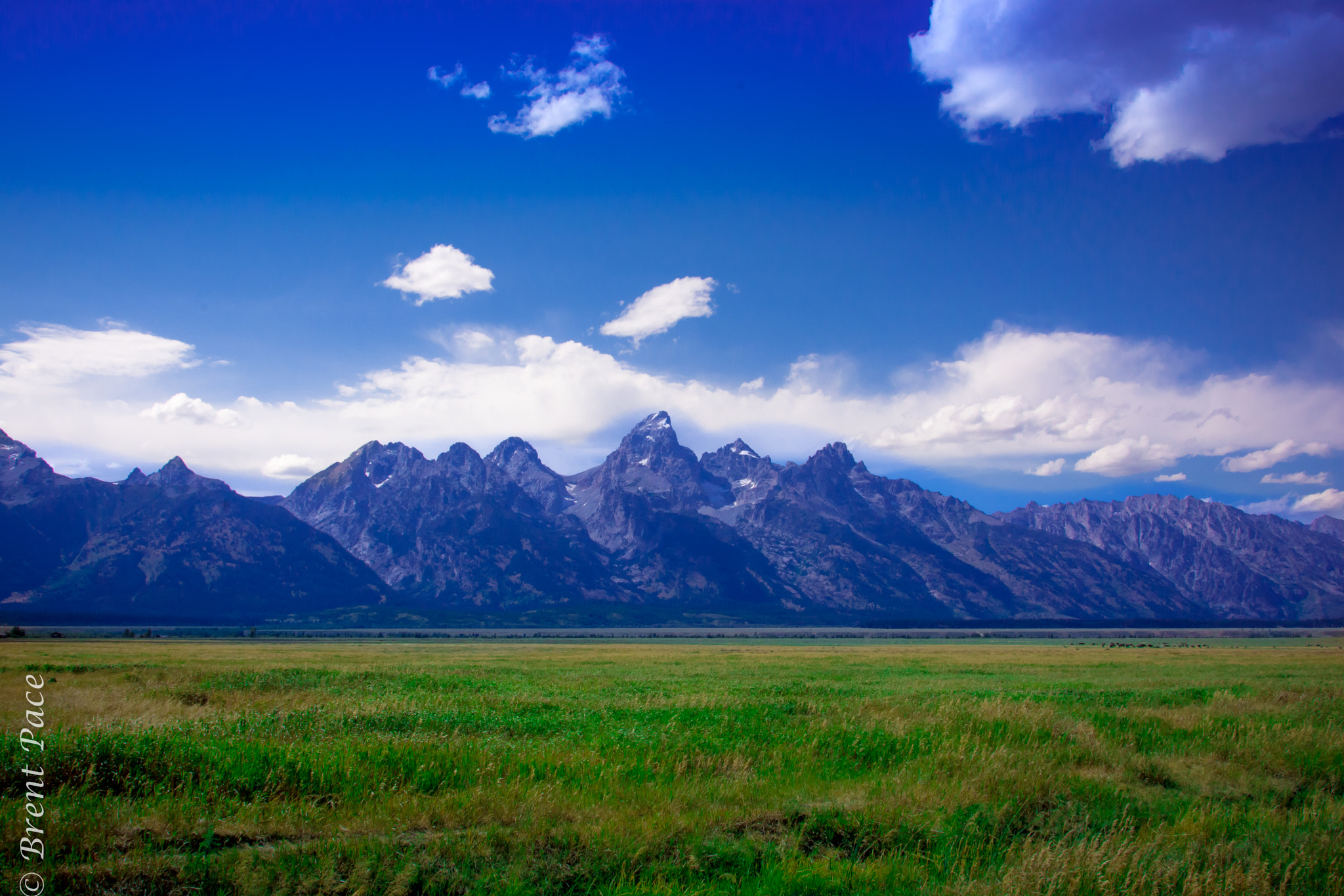 Nikon D7100 + Nikon AF-S Nikkor 24-85mm F3.5-4.5G ED VR sample photo. The grand tetons with grass in foreground photography