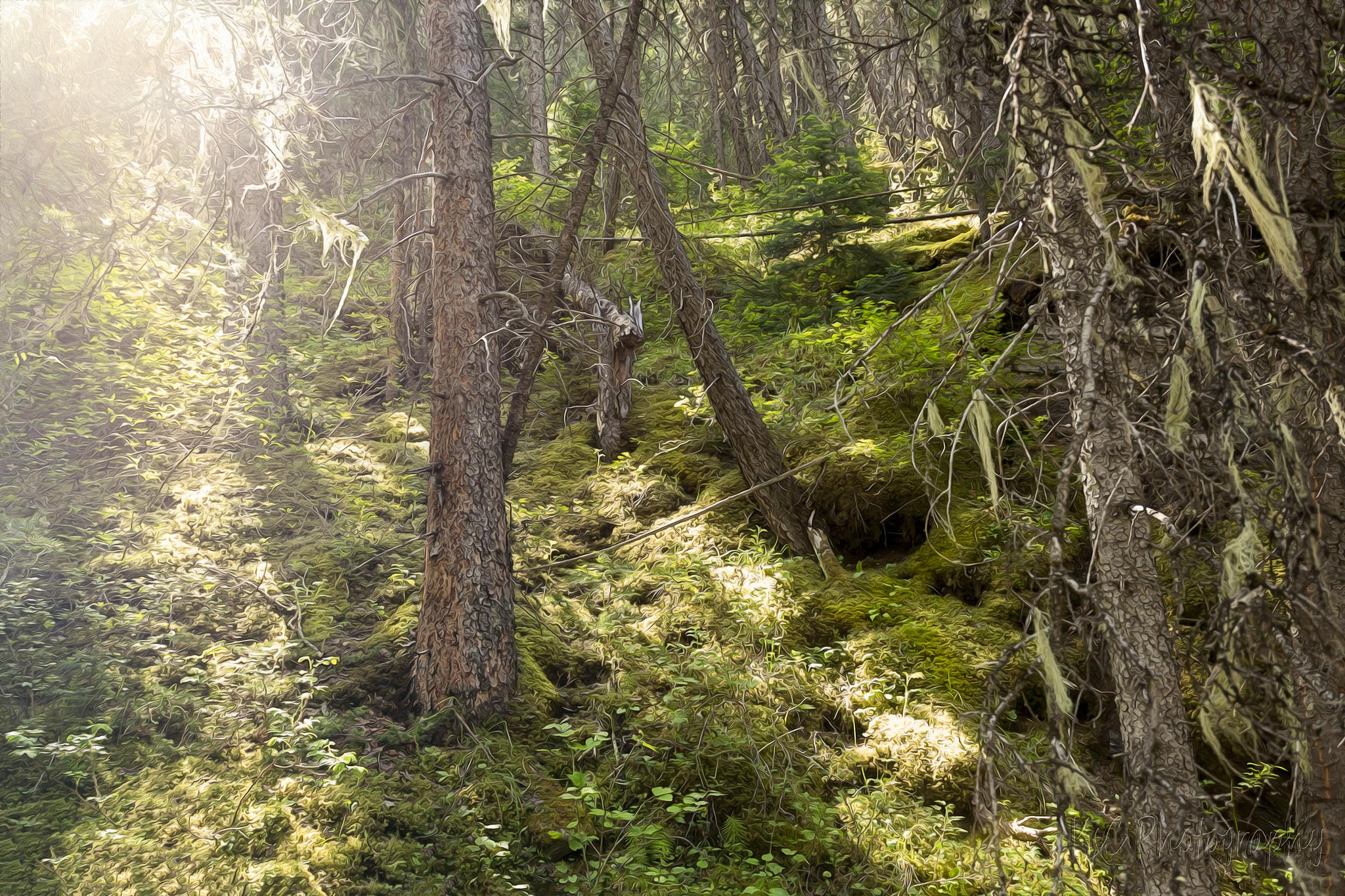Canon EOS-1Ds Mark II sample photo. David thompson backcountry photography