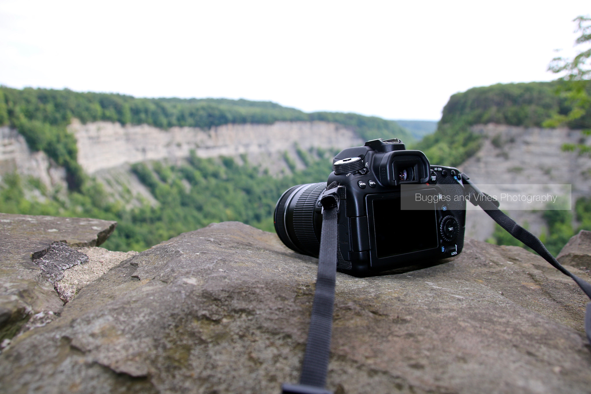 Canon EOS 750D (EOS Rebel T6i / EOS Kiss X8i) + Sigma 18-250mm F3.5-6.3 DC OS HSM sample photo. Overlooking the gorge photography