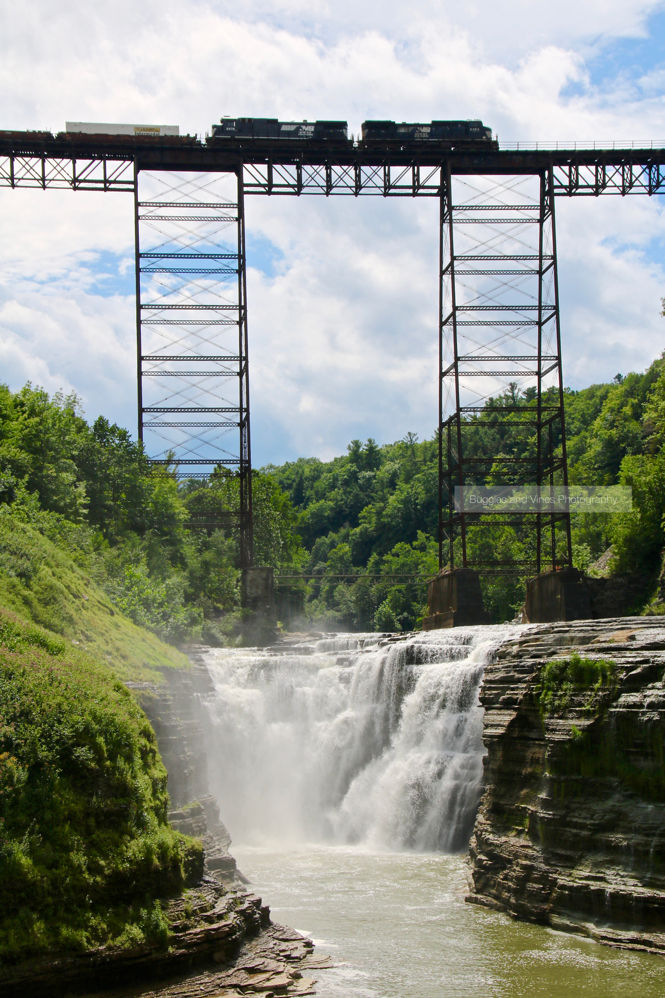 Canon EOS 750D (EOS Rebel T6i / EOS Kiss X8i) + Sigma 18-125mm F3.8-5.6 DC OS HSM sample photo. Train over the gorge photography