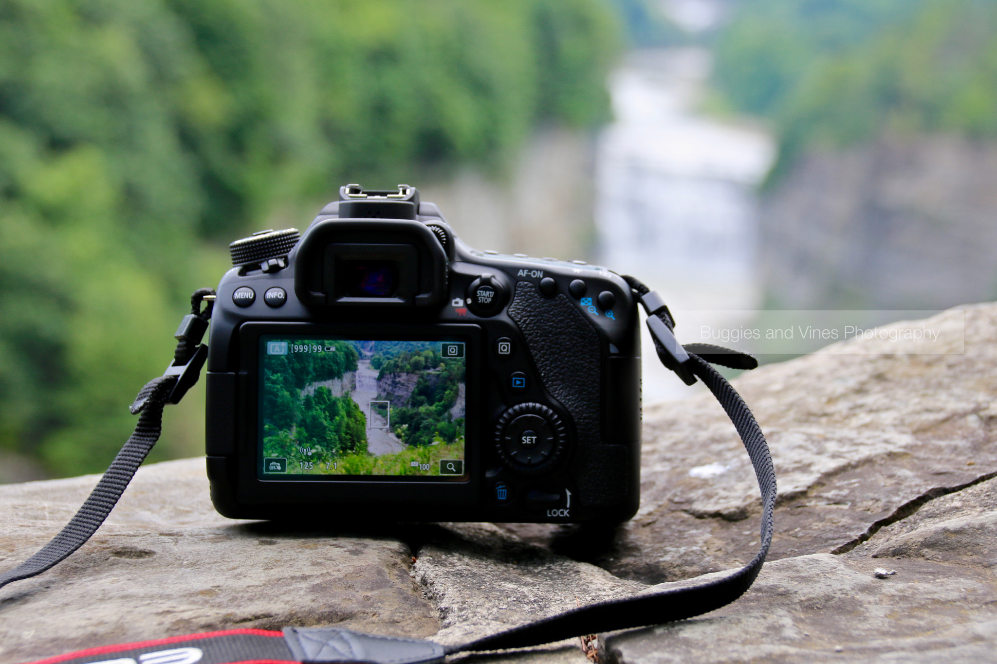 Sigma 18-250mm F3.5-6.3 DC OS HSM sample photo. Through the looking lens photography