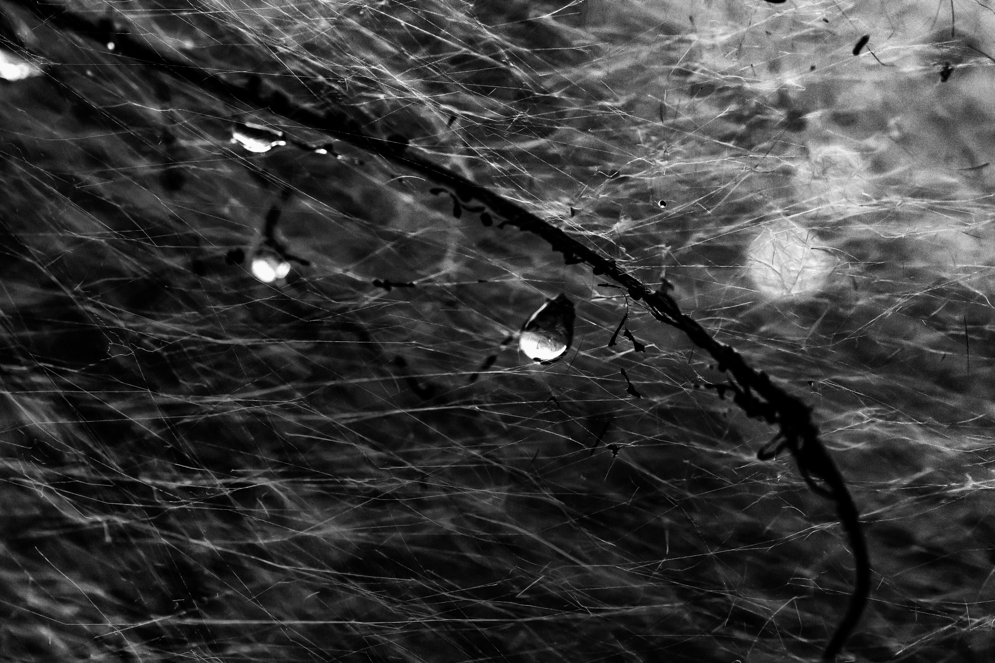 Sigma 105mm F2.8 EX DG OS HSM sample photo. Tears of a clown photography