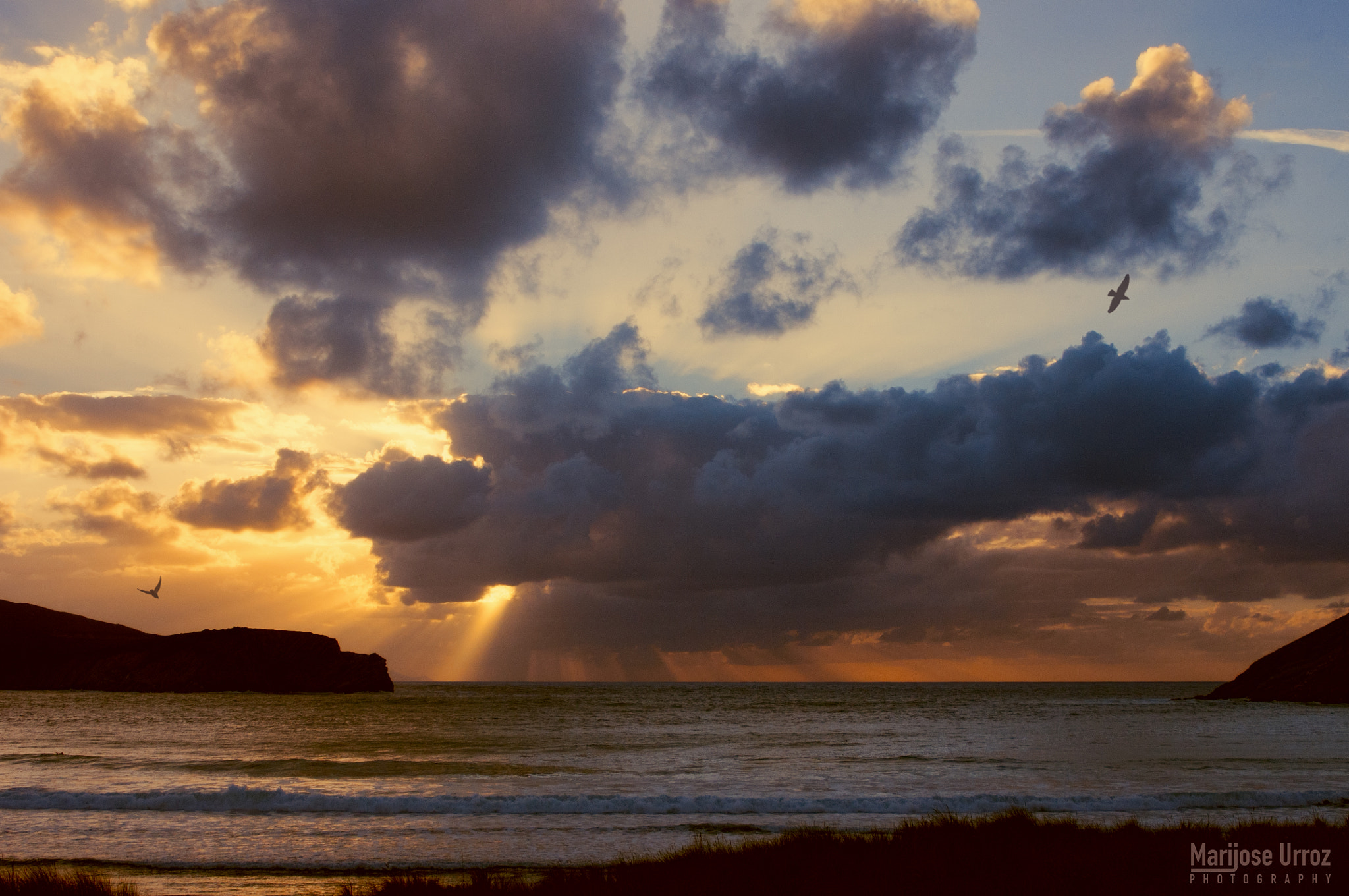 Nikon D300 sample photo. Sunset yesterday photography