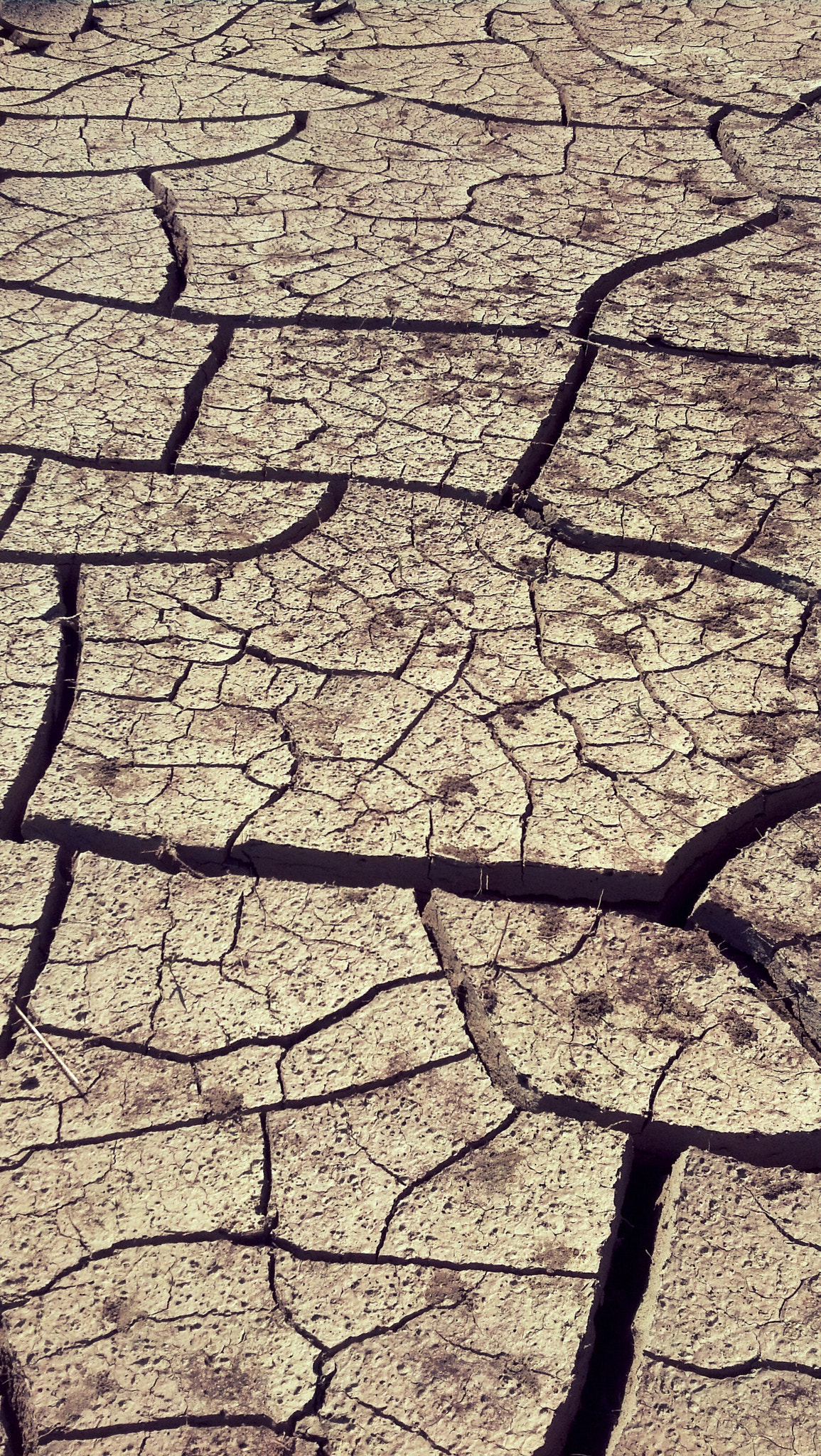 Motorola DROID RAZR sample photo. Drought photography