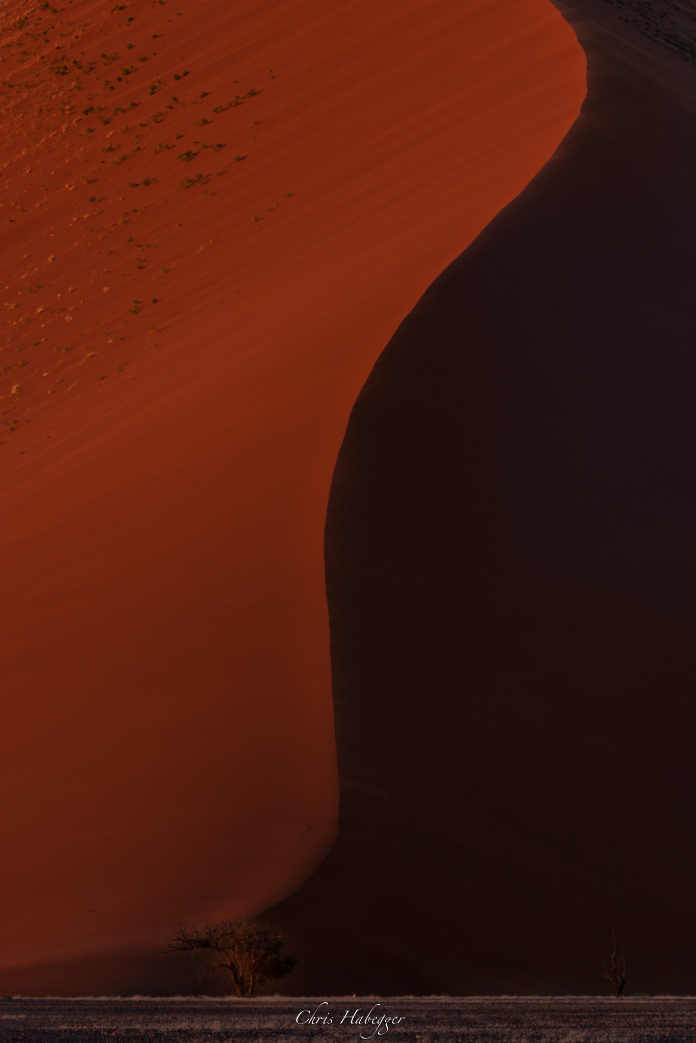 Canon EF 100-400mm F4.5-5.6L IS USM sample photo. Dune of the namib photography