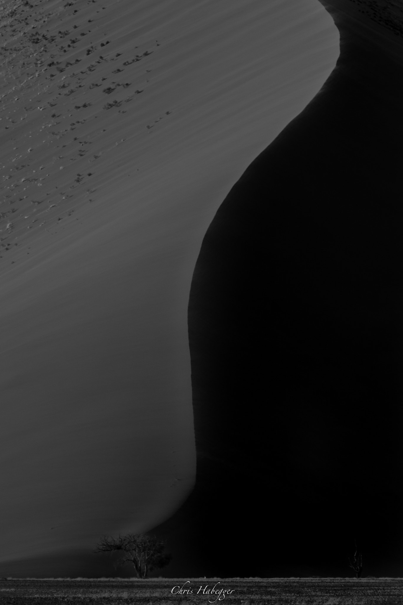 Canon EF 100-400mm F4.5-5.6L IS USM sample photo. Dune of the namib photography