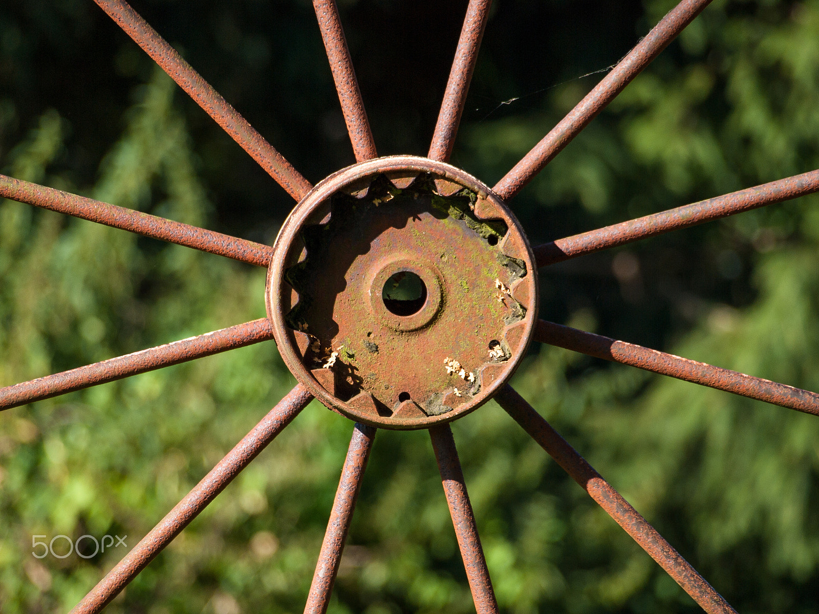 Olympus E-520 (EVOLT E-520) sample photo. Wagon's wheel photography