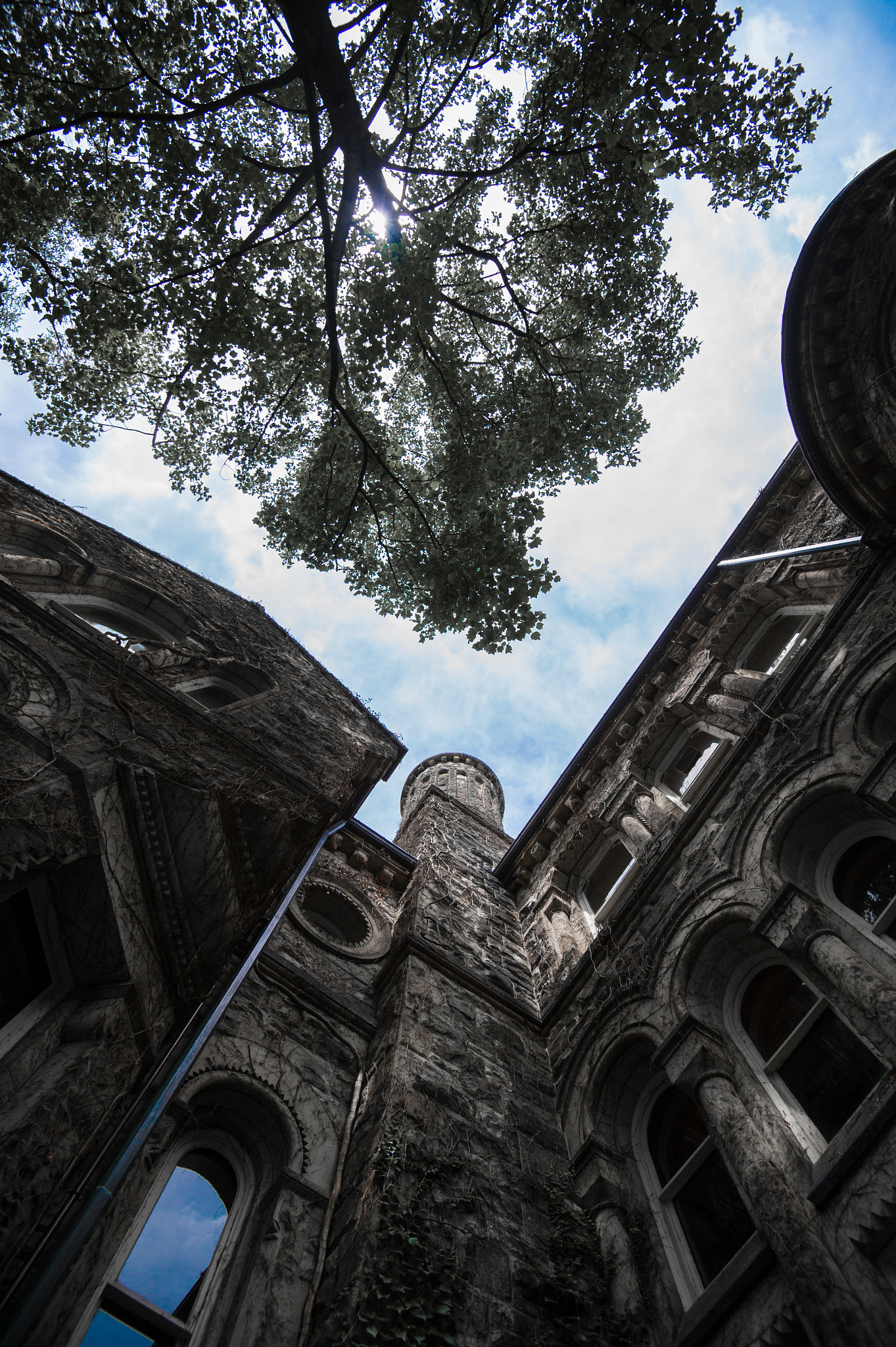 Nikon Df sample photo. Look up photography
