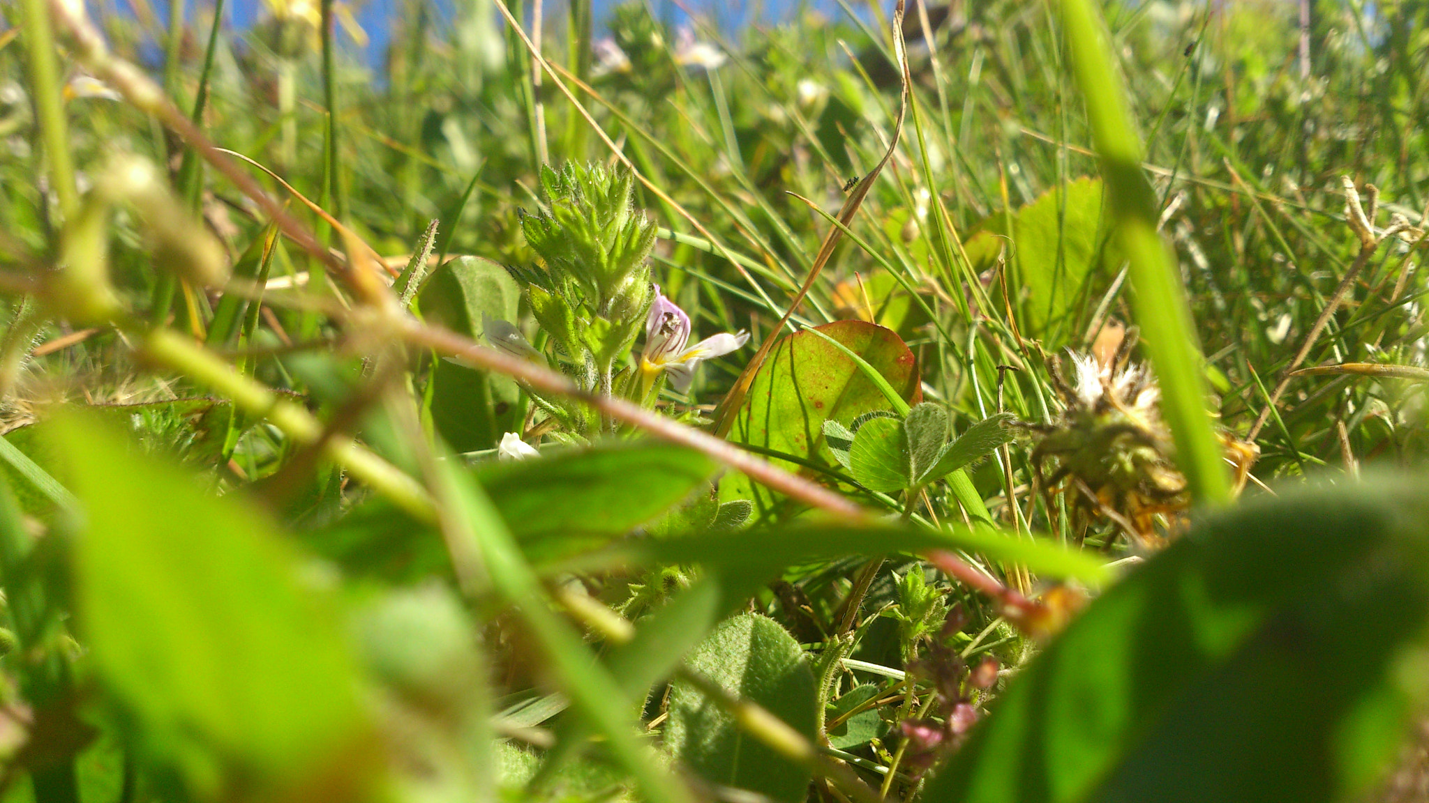 Sony Ericsson Xperia S sample photo. Montagne photography