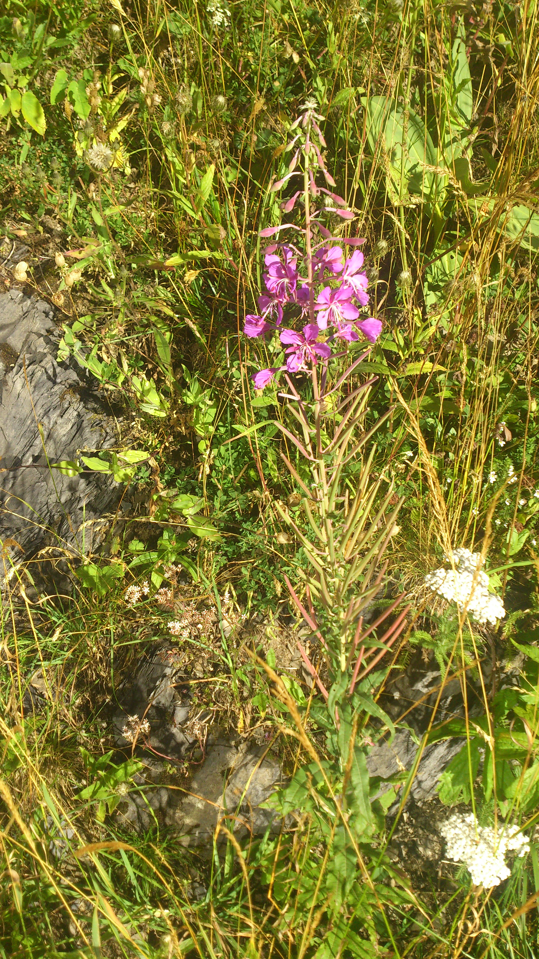 Sony Ericsson Xperia S sample photo. Montagne photography