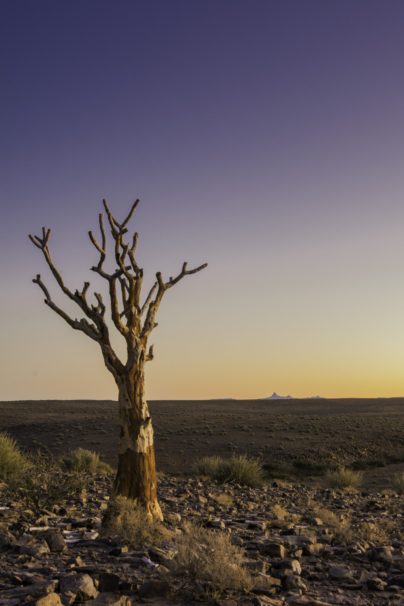 Nikon AF-S Nikkor 16-35mm F4G ED VR sample photo. Hobas sundowner photography