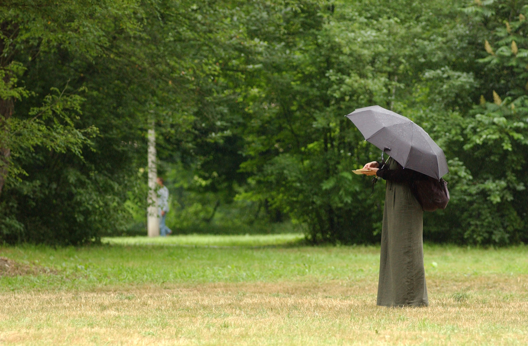 Nikon D1X sample photo. Walking in the park photography