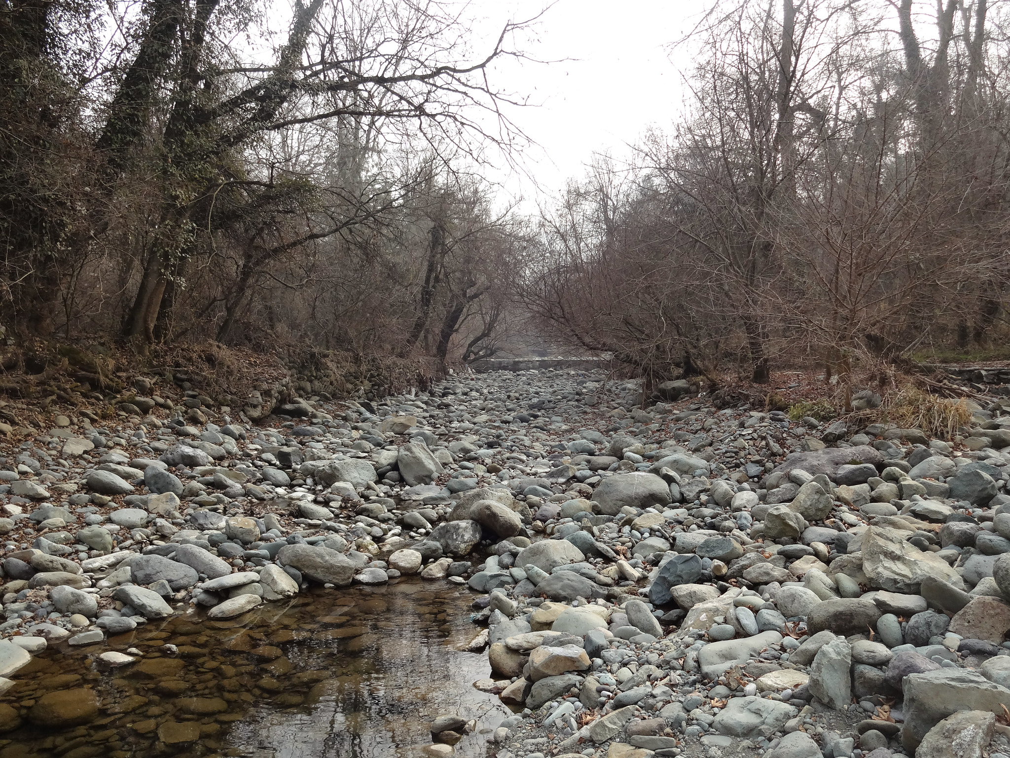 Sony DSC-WX150 sample photo. Water, rocks, and trees. photography