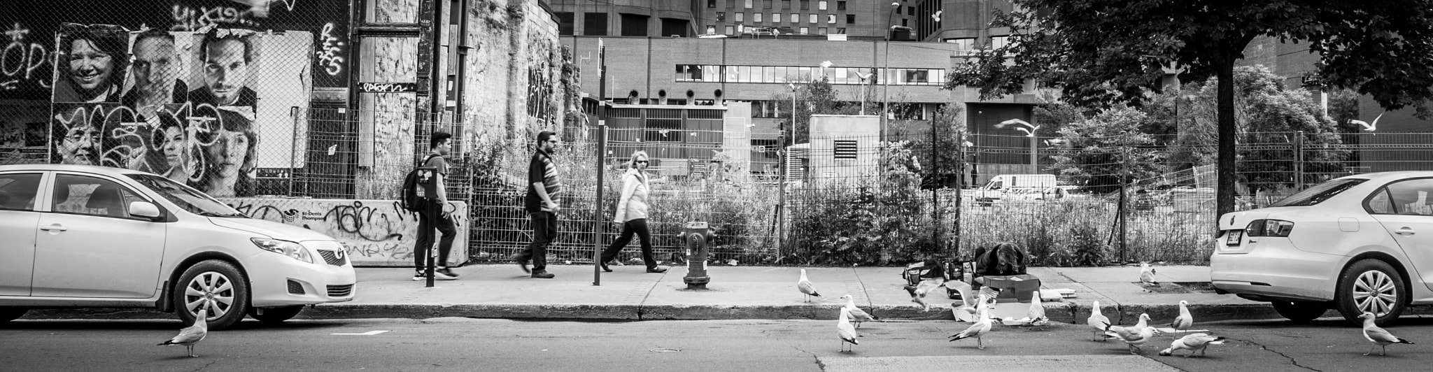 Elmarit-M 1:2.8/24 ASPH. sample photo. Montreal canada photography