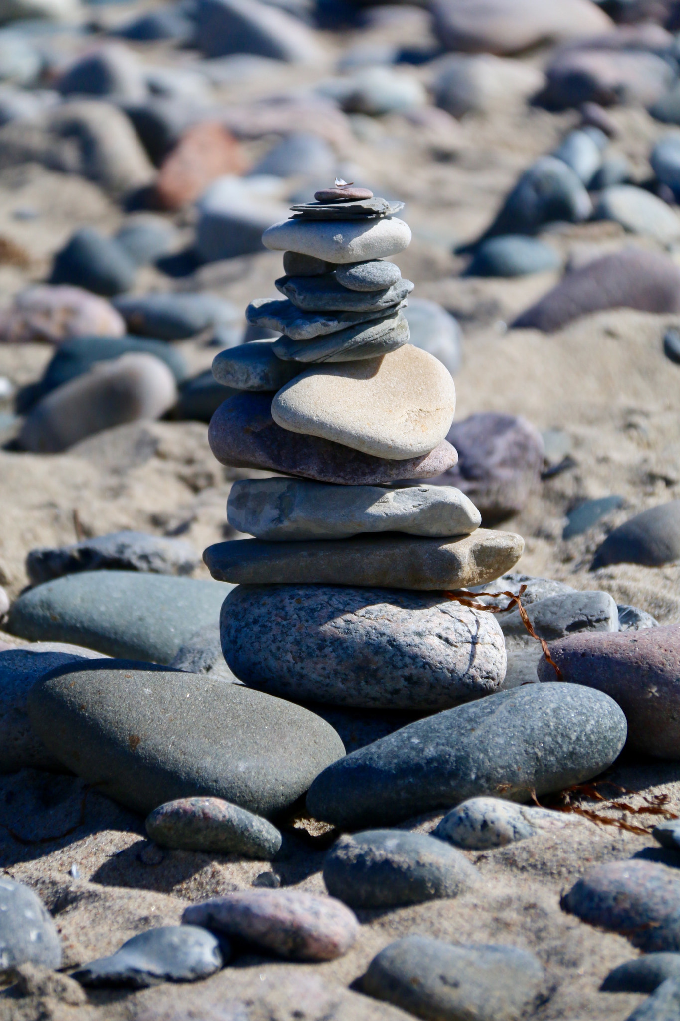 Canon EOS 70D + Canon EF-S 18-200mm F3.5-5.6 IS sample photo. Börgerende 2016 strandspaziergang photography