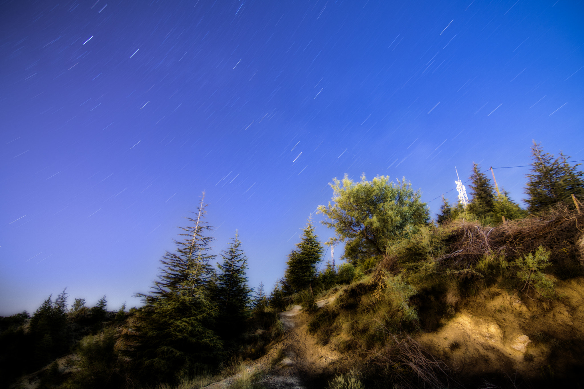 Canon EOS 760D (EOS Rebel T6s / EOS 8000D) sample photo. Starry night photography