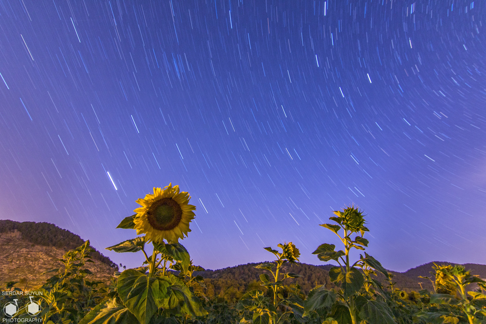 Canon EOS 760D (EOS Rebel T6s / EOS 8000D) sample photo. Starry night photography