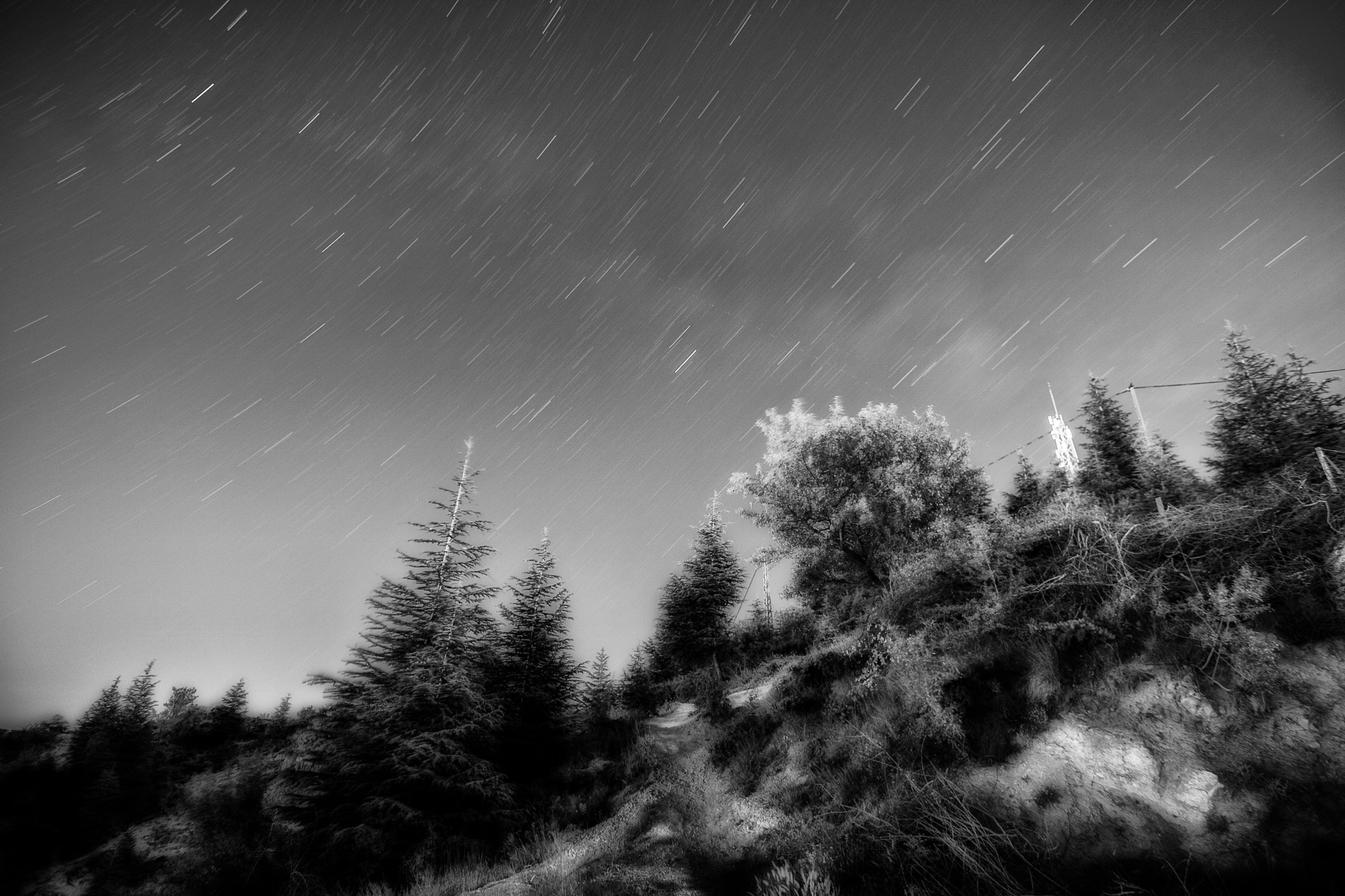 Canon EOS 760D (EOS Rebel T6s / EOS 8000D) sample photo. Starry night photography