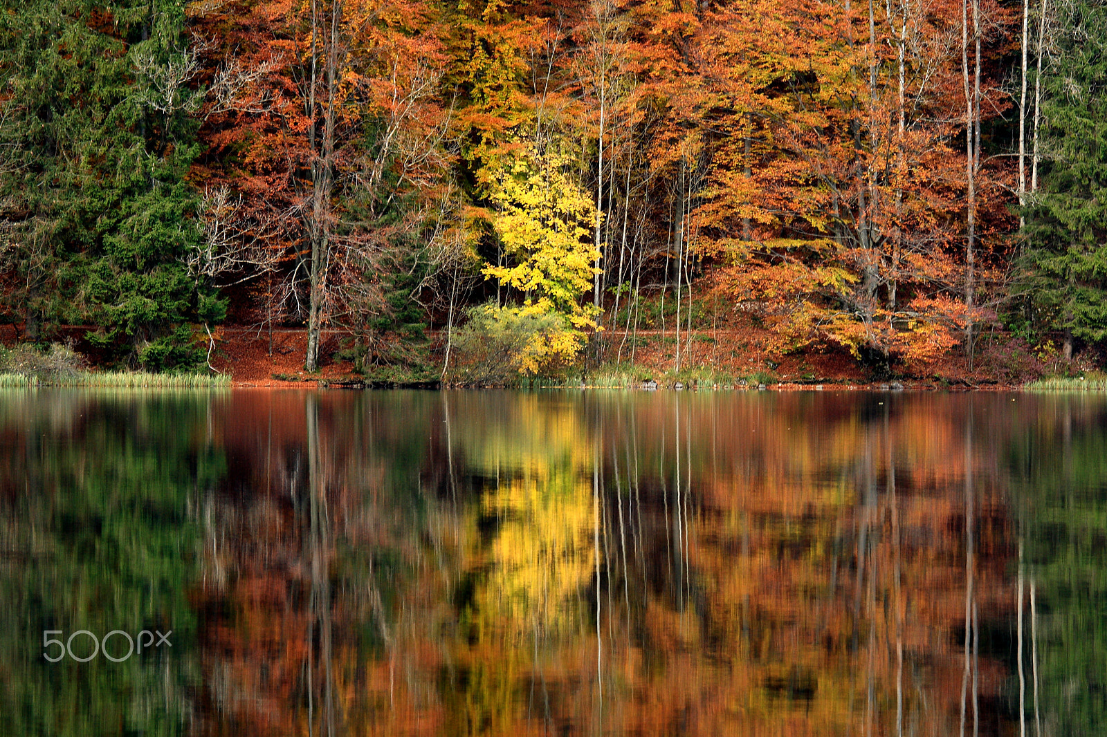 Canon EF 70-200mm F4L IS USM sample photo. Colors of autumn photography