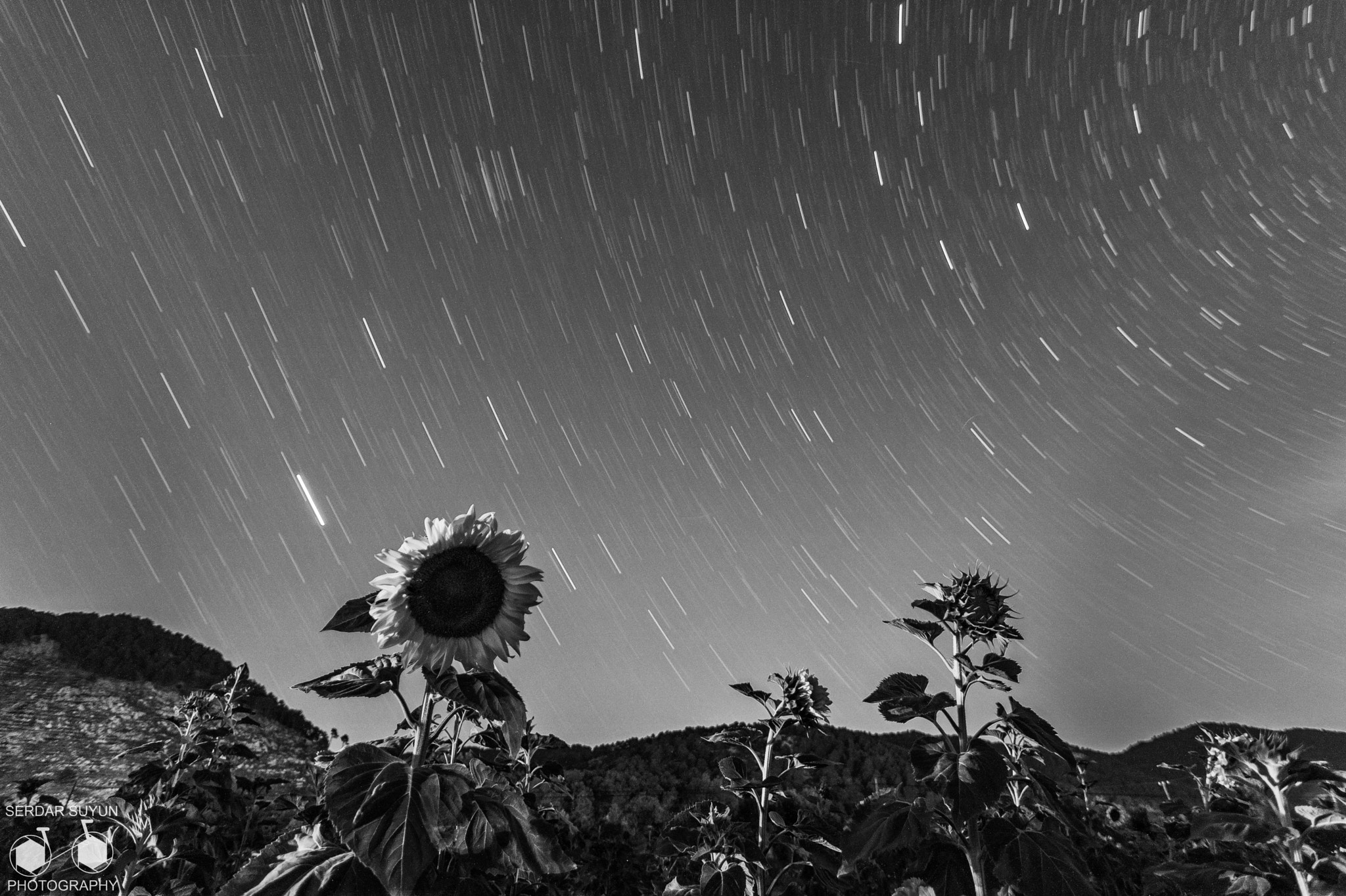Canon EOS 760D (EOS Rebel T6s / EOS 8000D) sample photo. Starry night photography