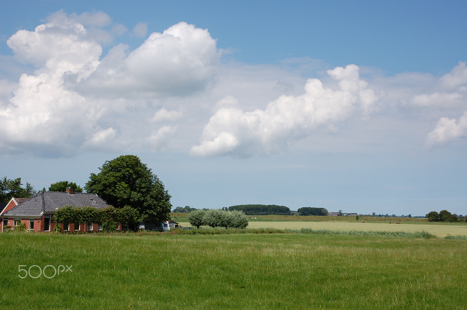 Nikon D40 sample photo. Landscape in groningen with farm photography